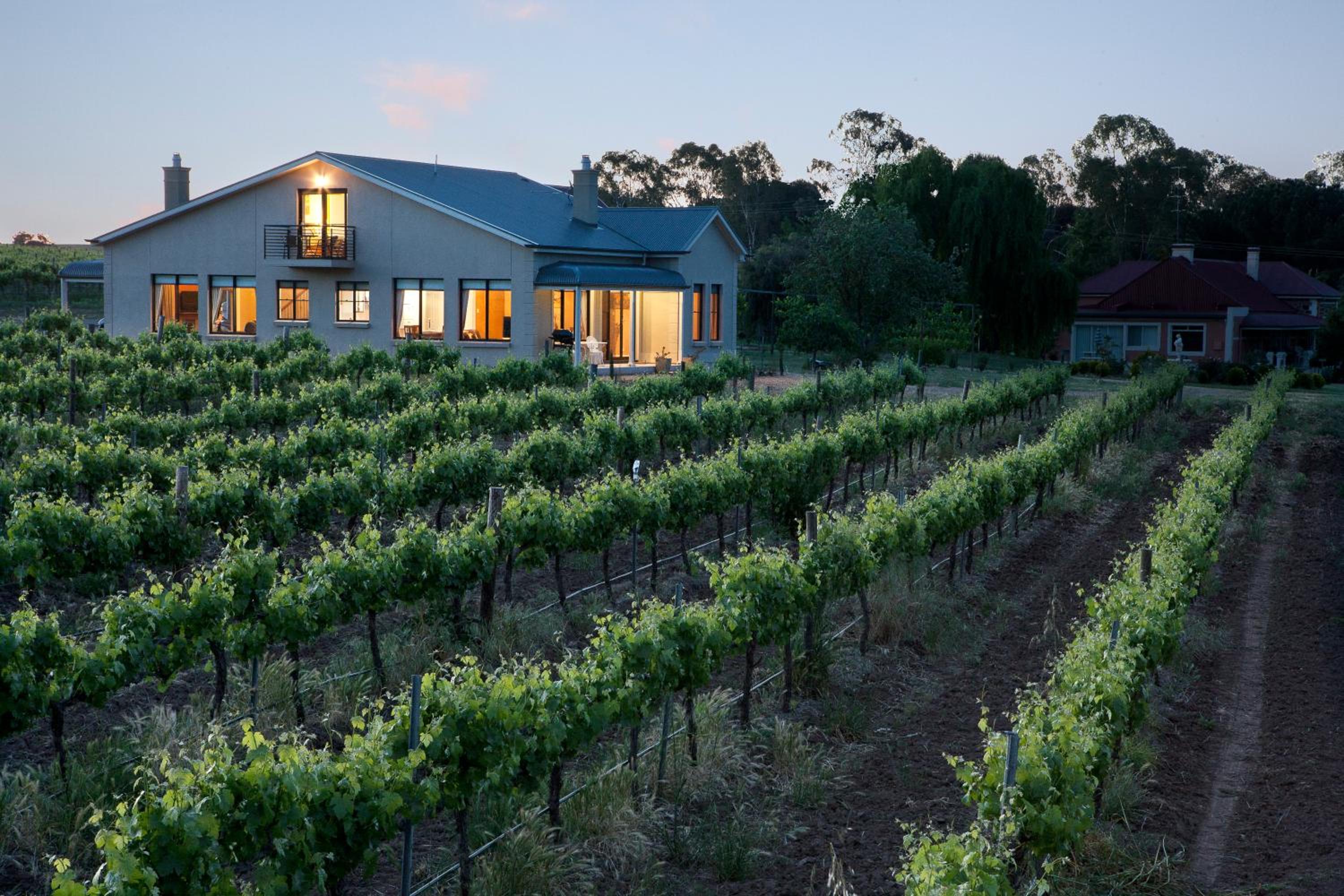 Barossa Shiraz Estate view 4