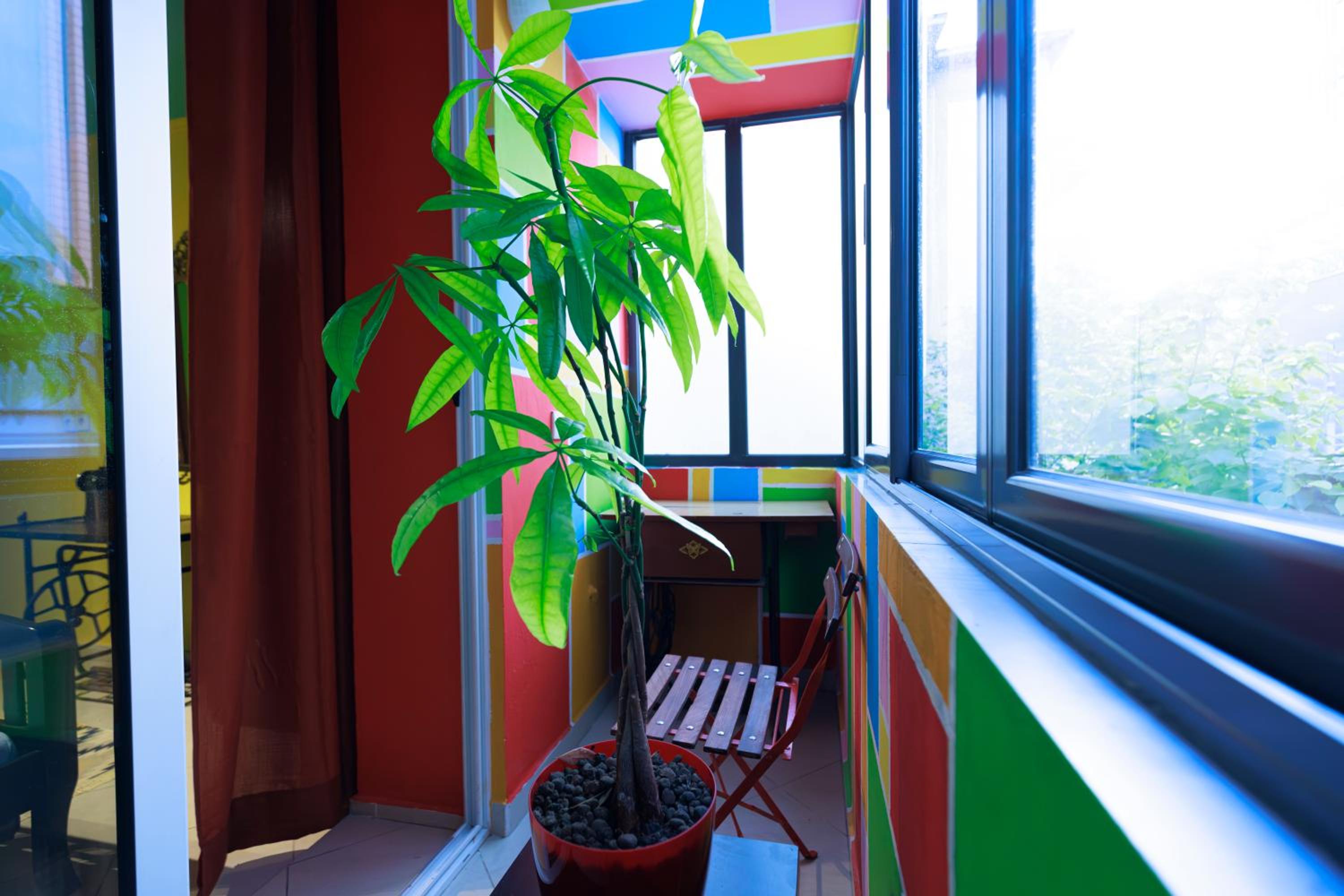 Jasemin-Lule Apartments