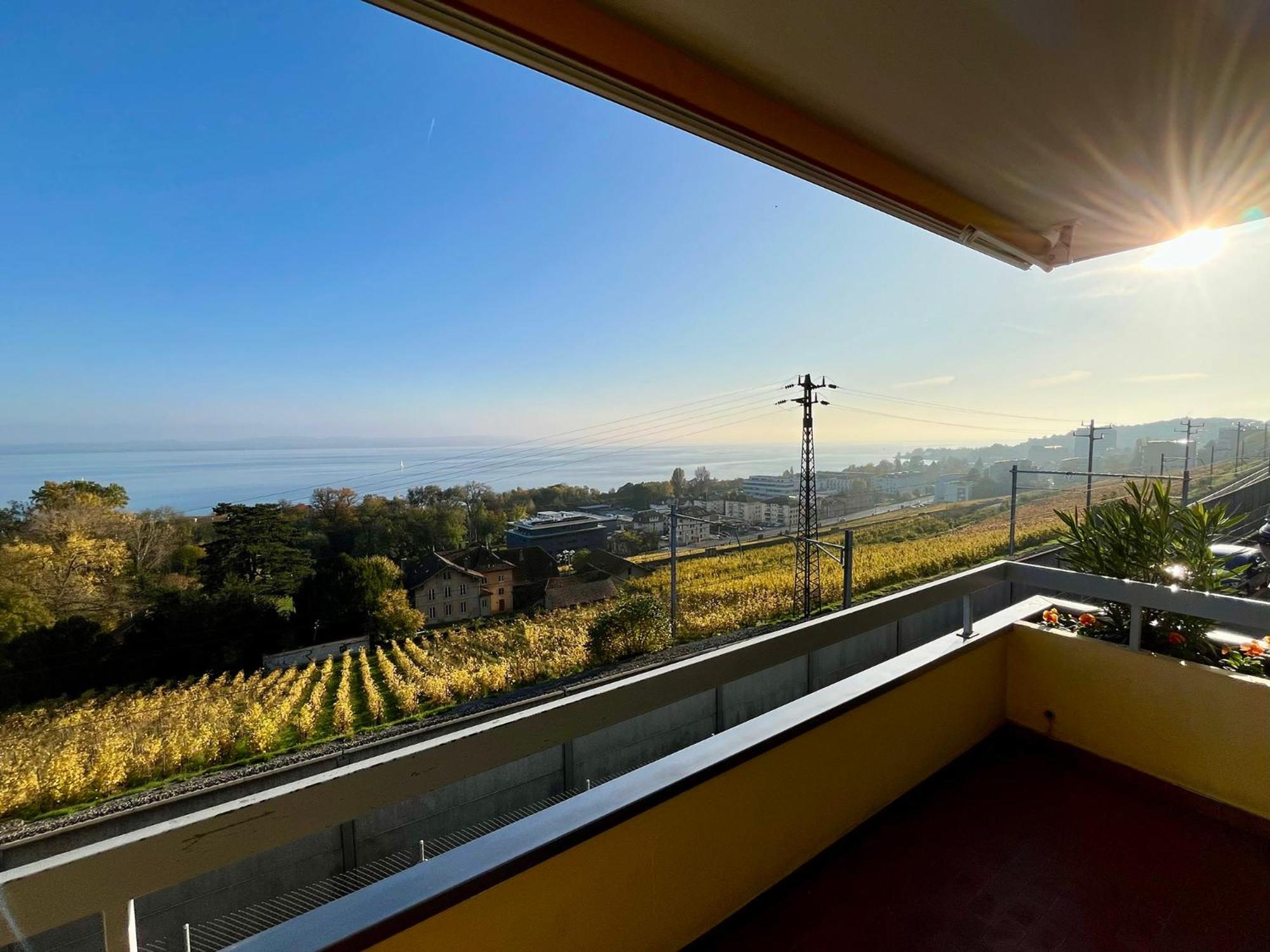 Spacieux appartement de 2,5 pièces avec vue