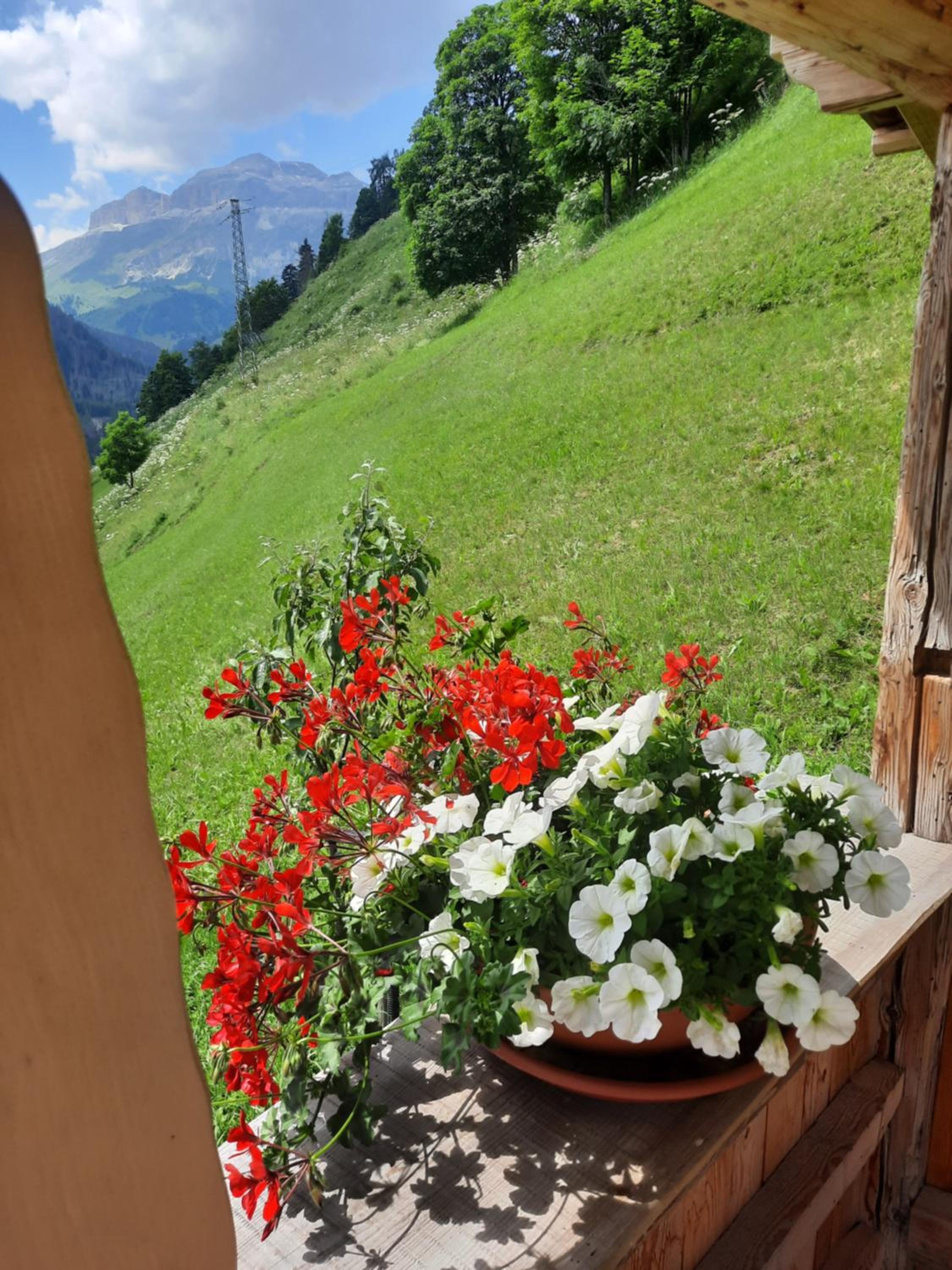 Appartamento l’ Aier - Arabba - Dolomiti view 5