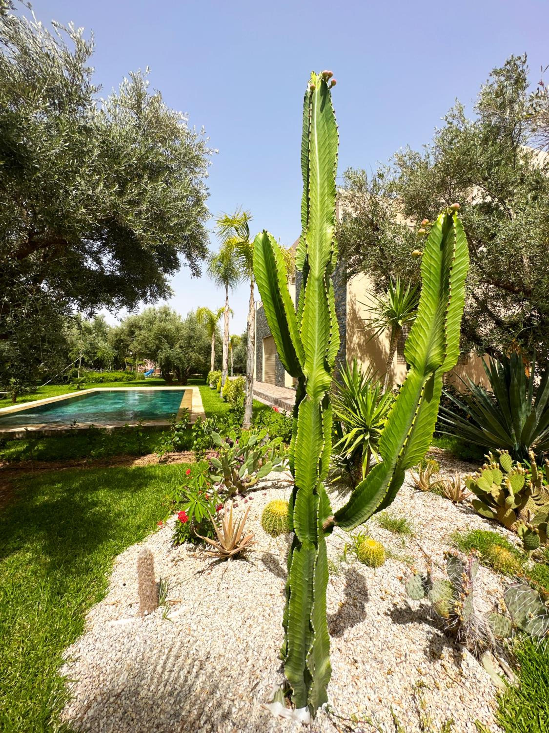 Villa Kamélia 5000m Hammam Piscine Chauffée et Sans Vis à Vis view 2