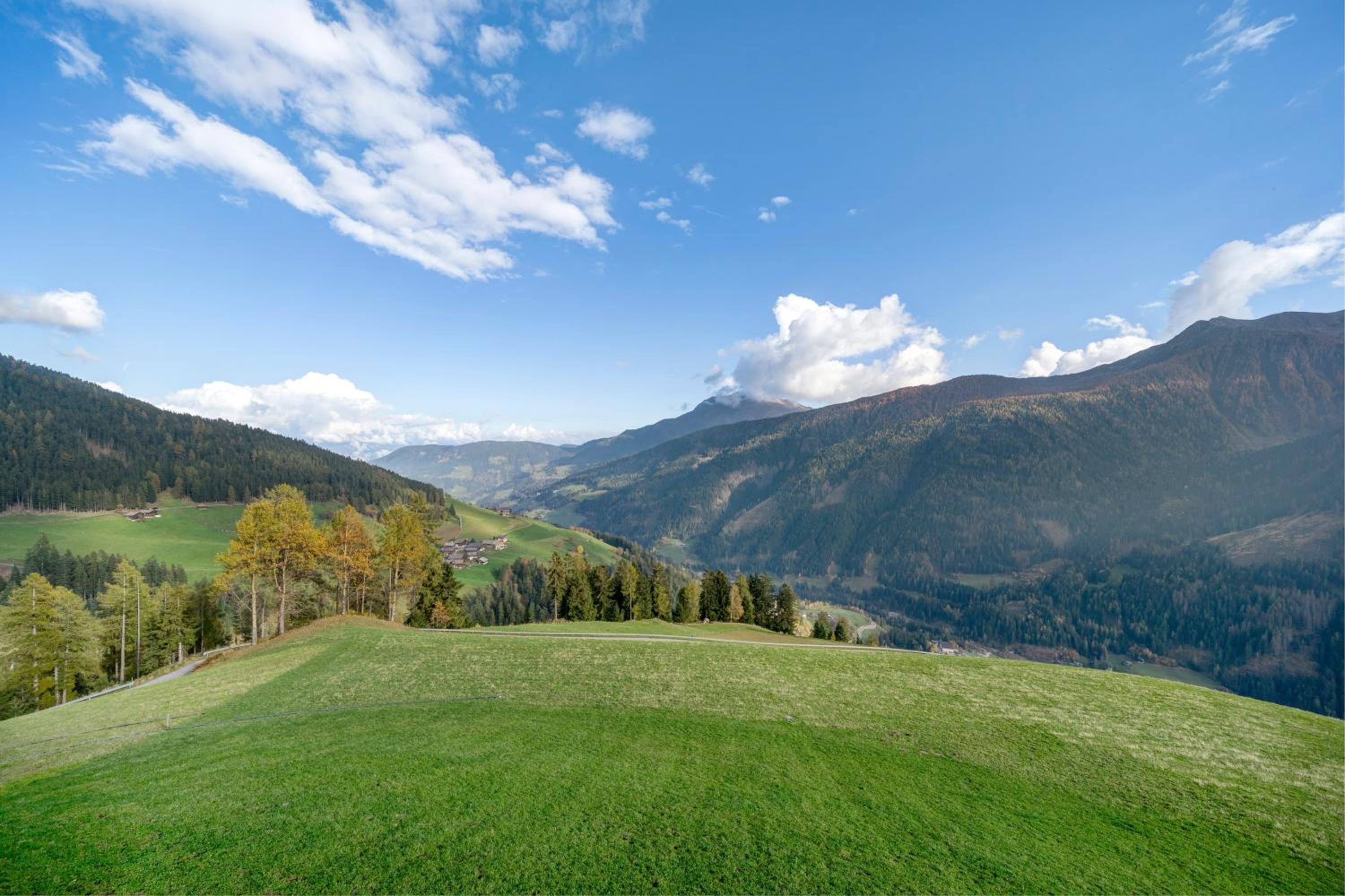 Oberhaushof