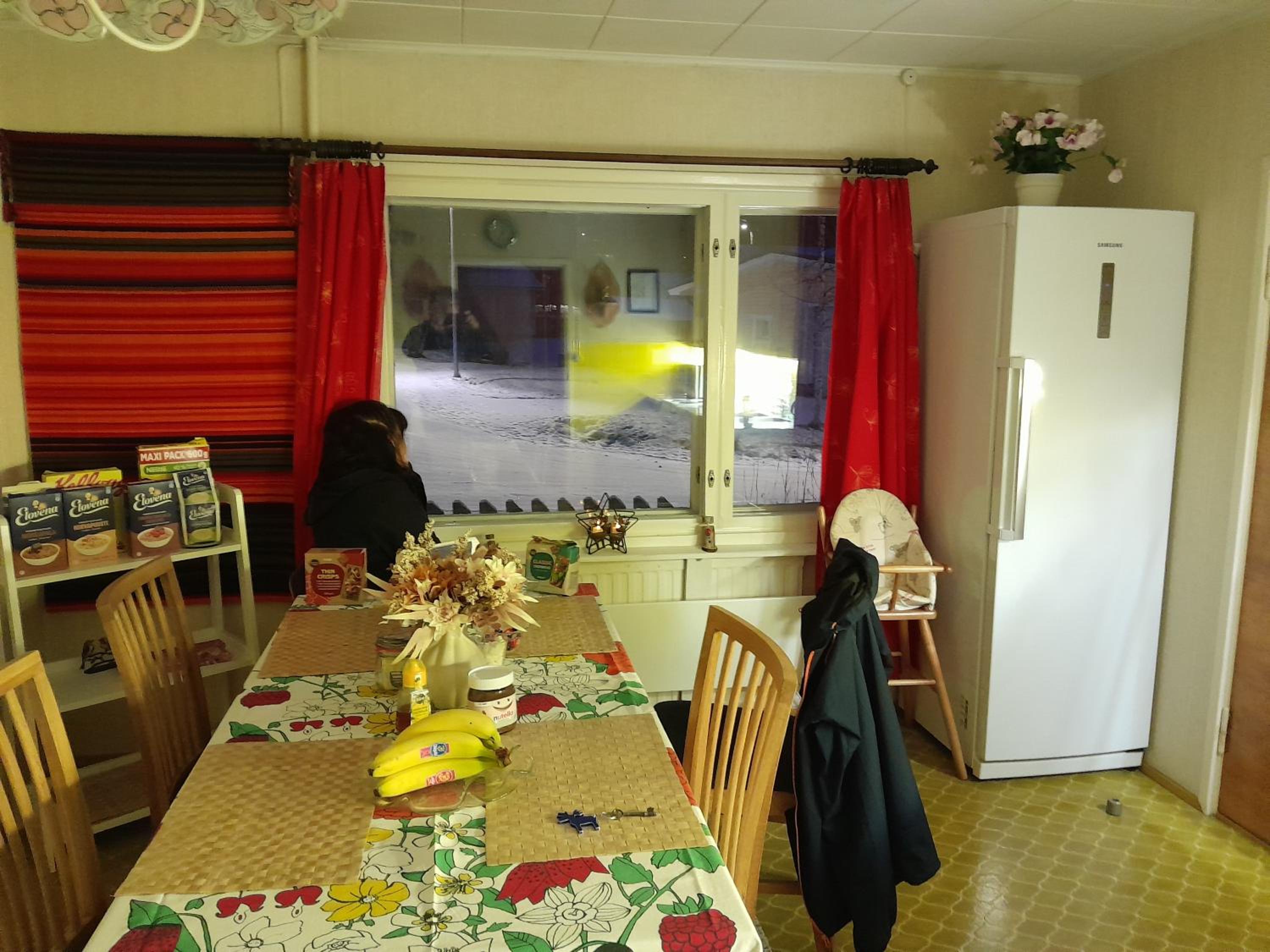 Traditional House Rovaniemi