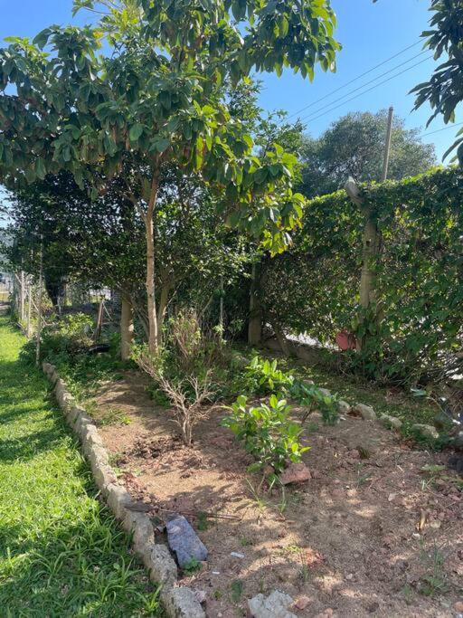 Apartamento Marisco