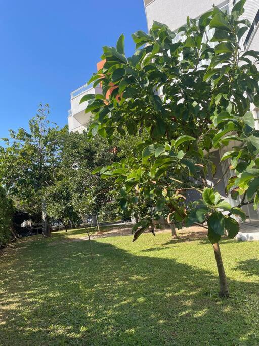Apartamento Marisco