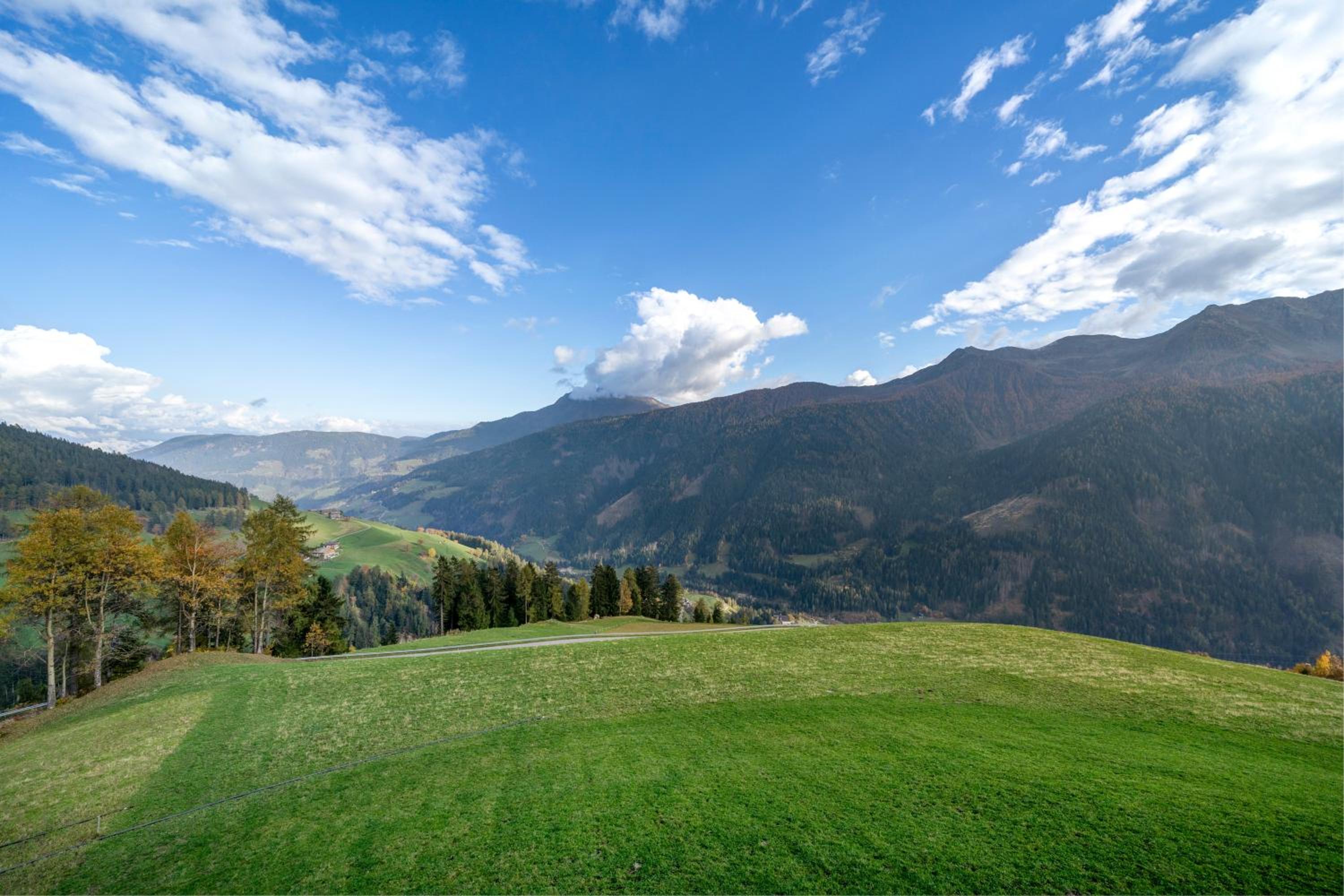 Oberhaushof