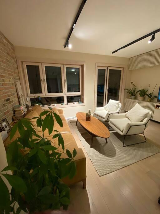 Shine view 3
