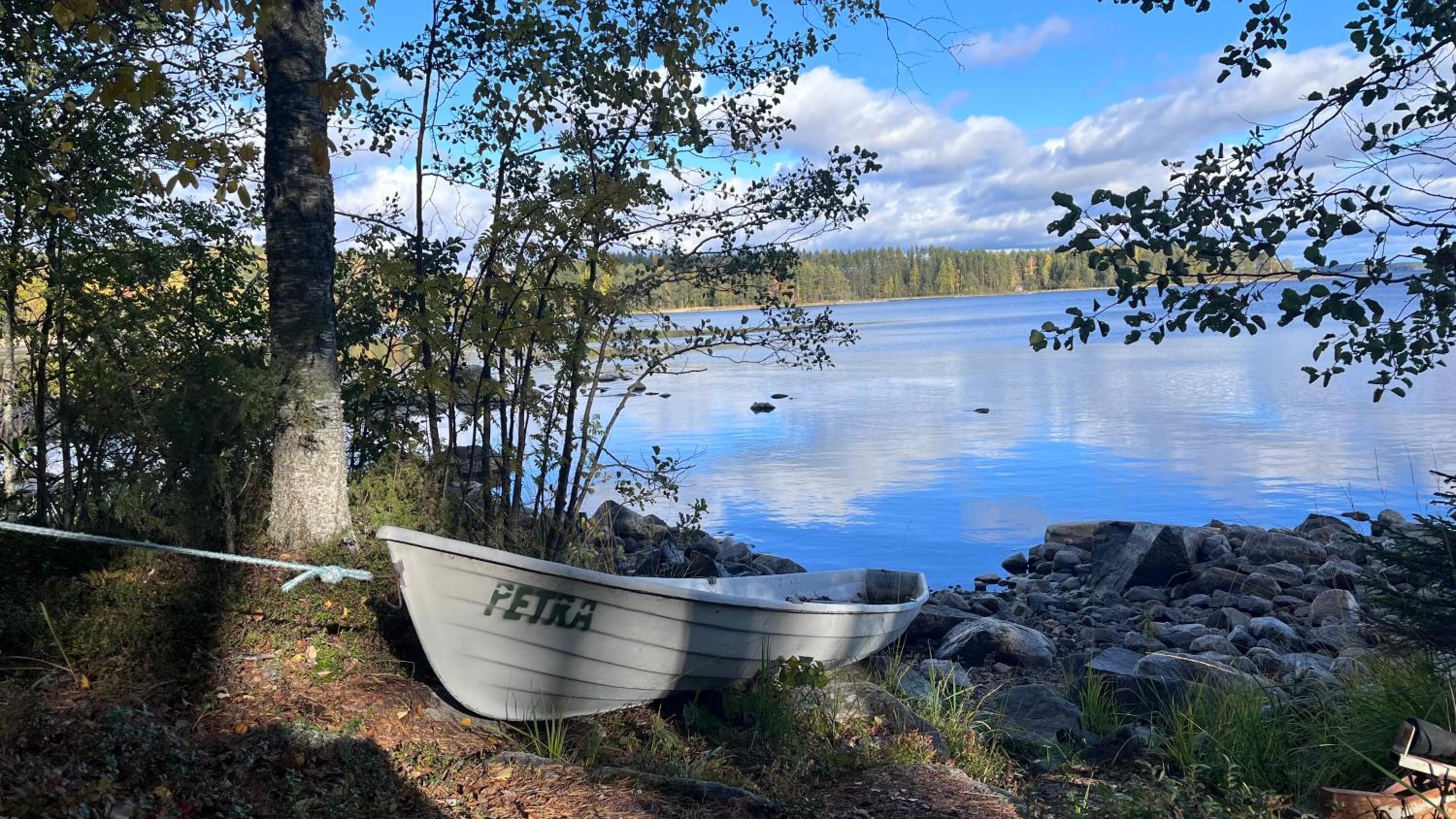 Cottage Petra in Koli