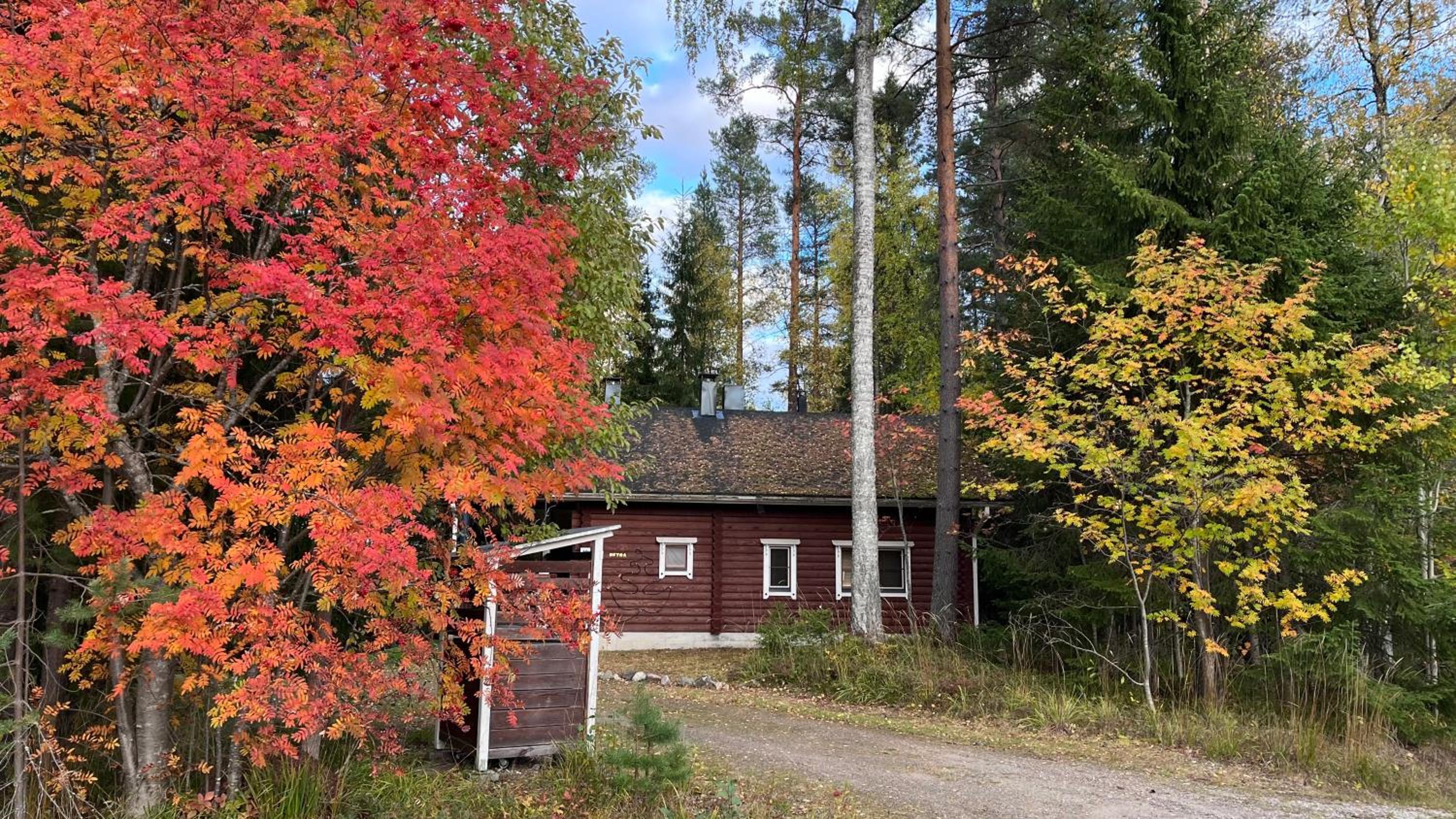 Cottage Petra in Koli