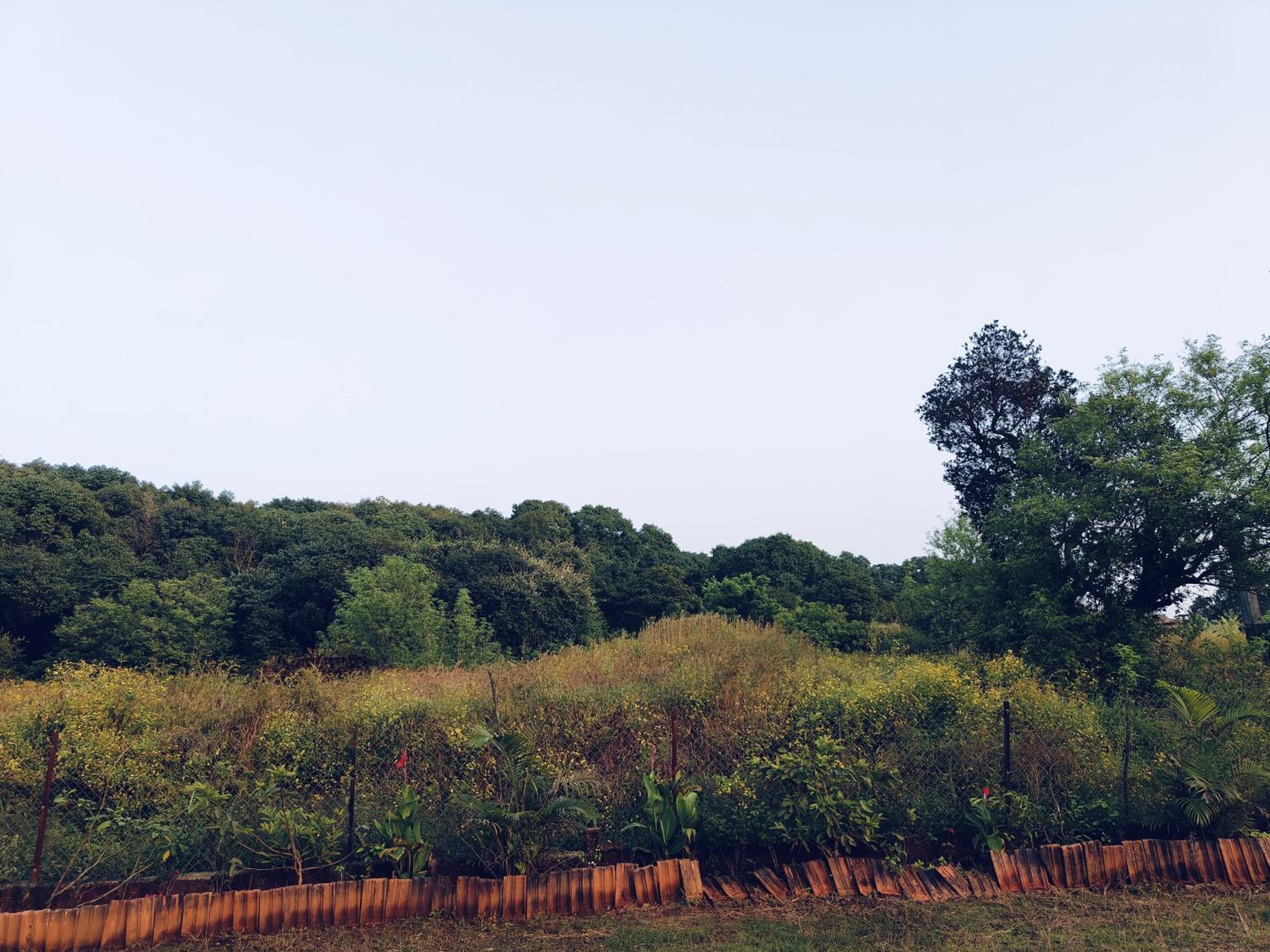 LaForesta By Mahabaleshwar Stay
