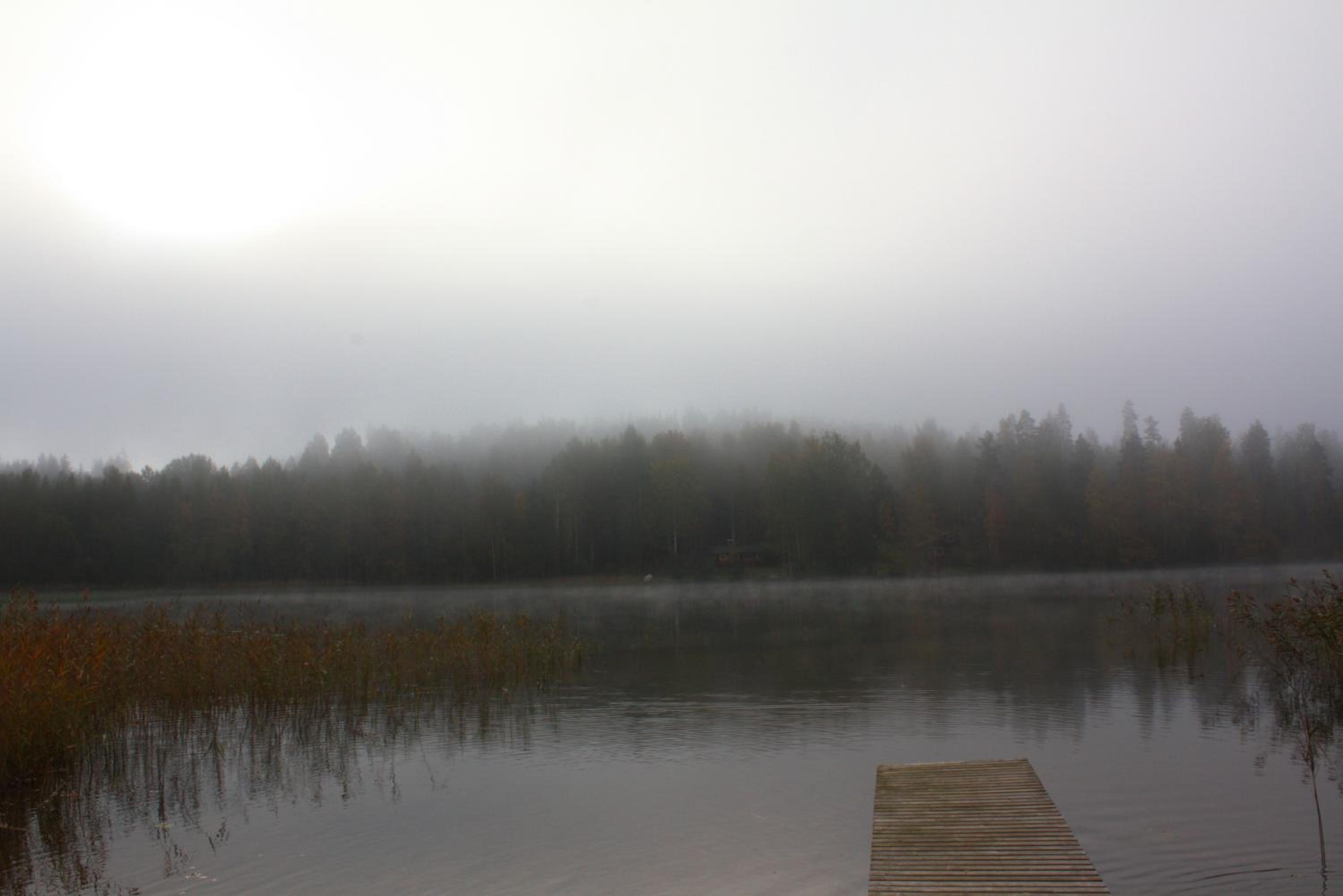 Photo 35
