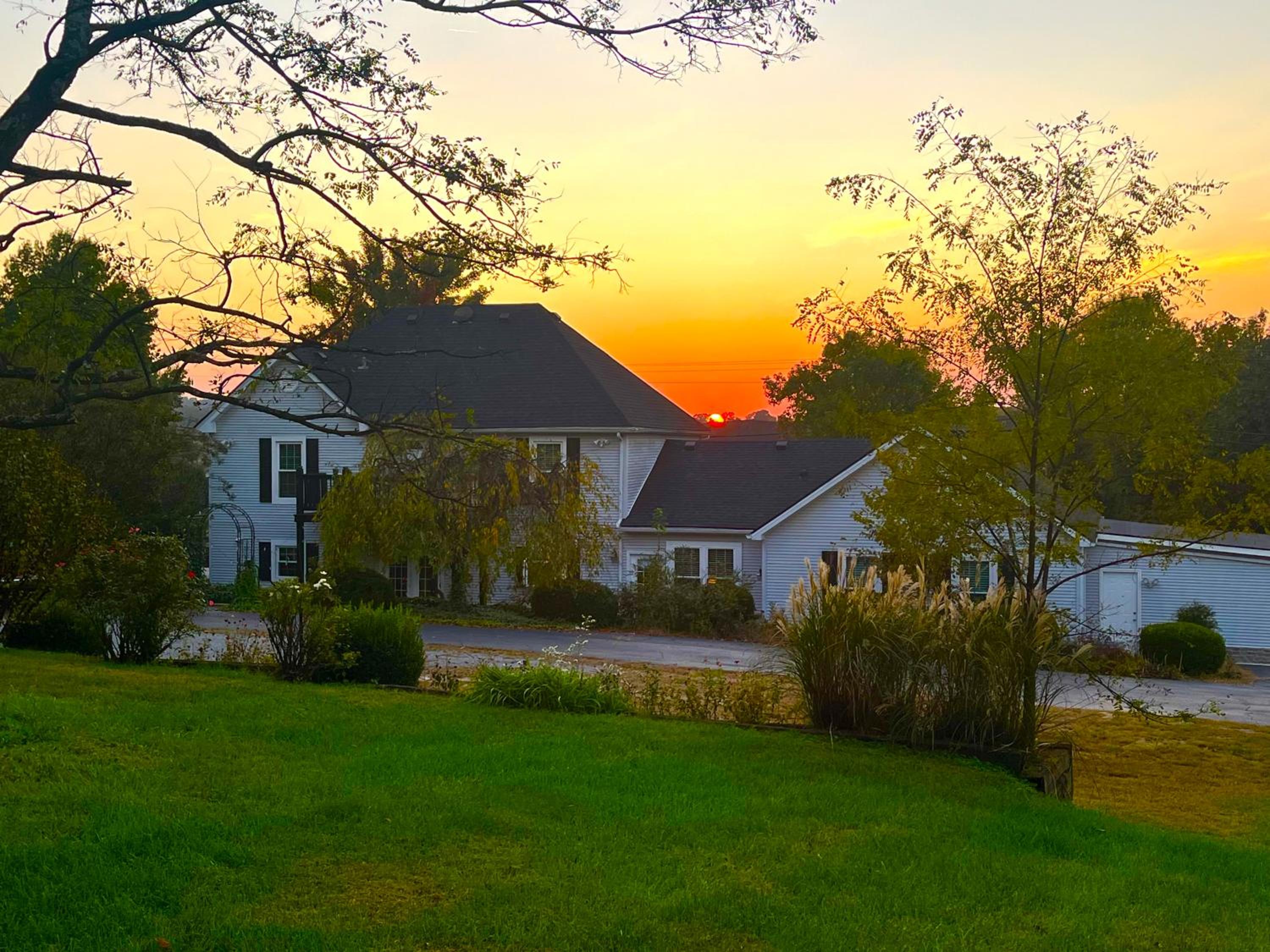 Hill House Bed and Breakfast view 2