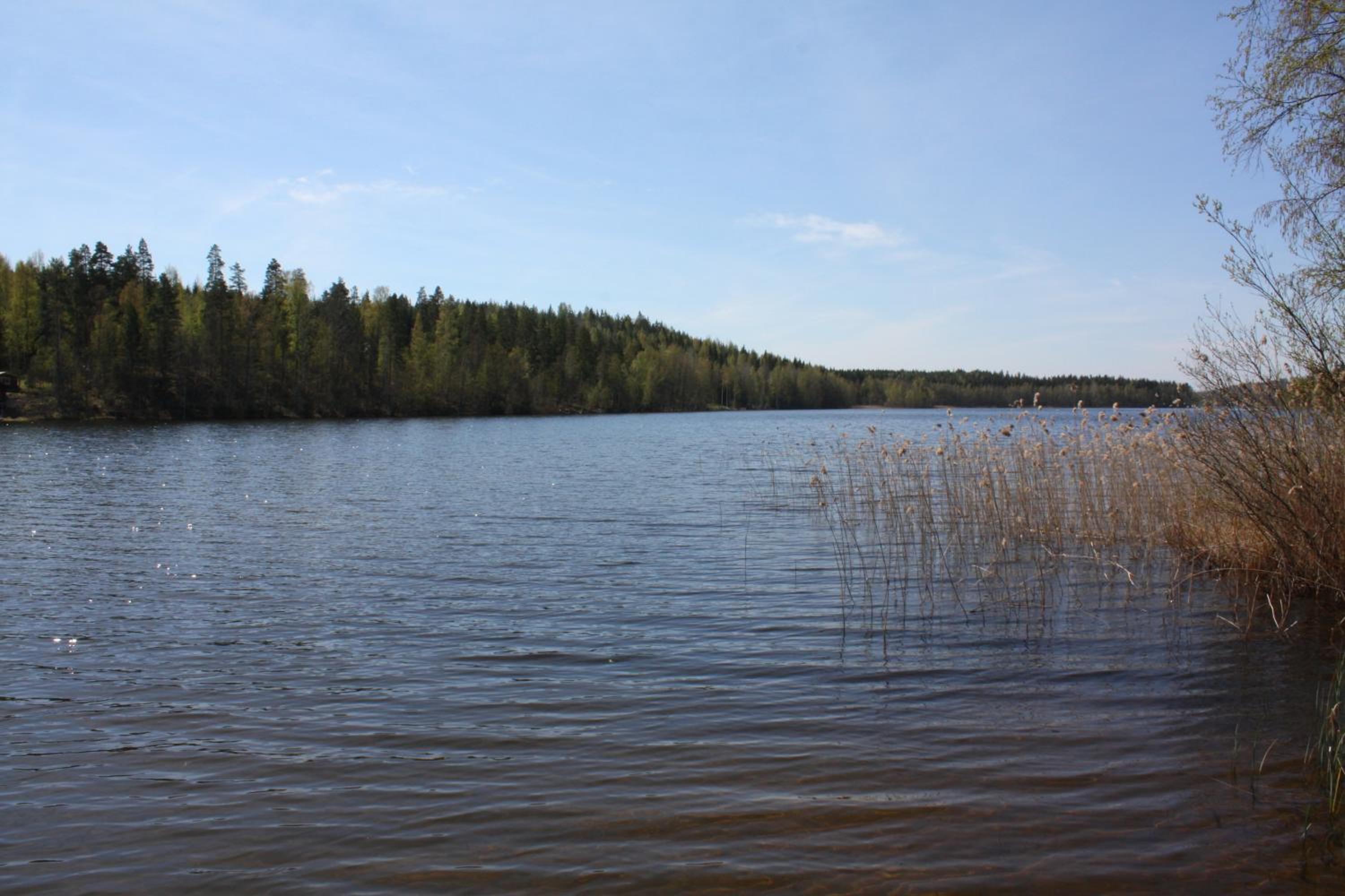 Photo 41