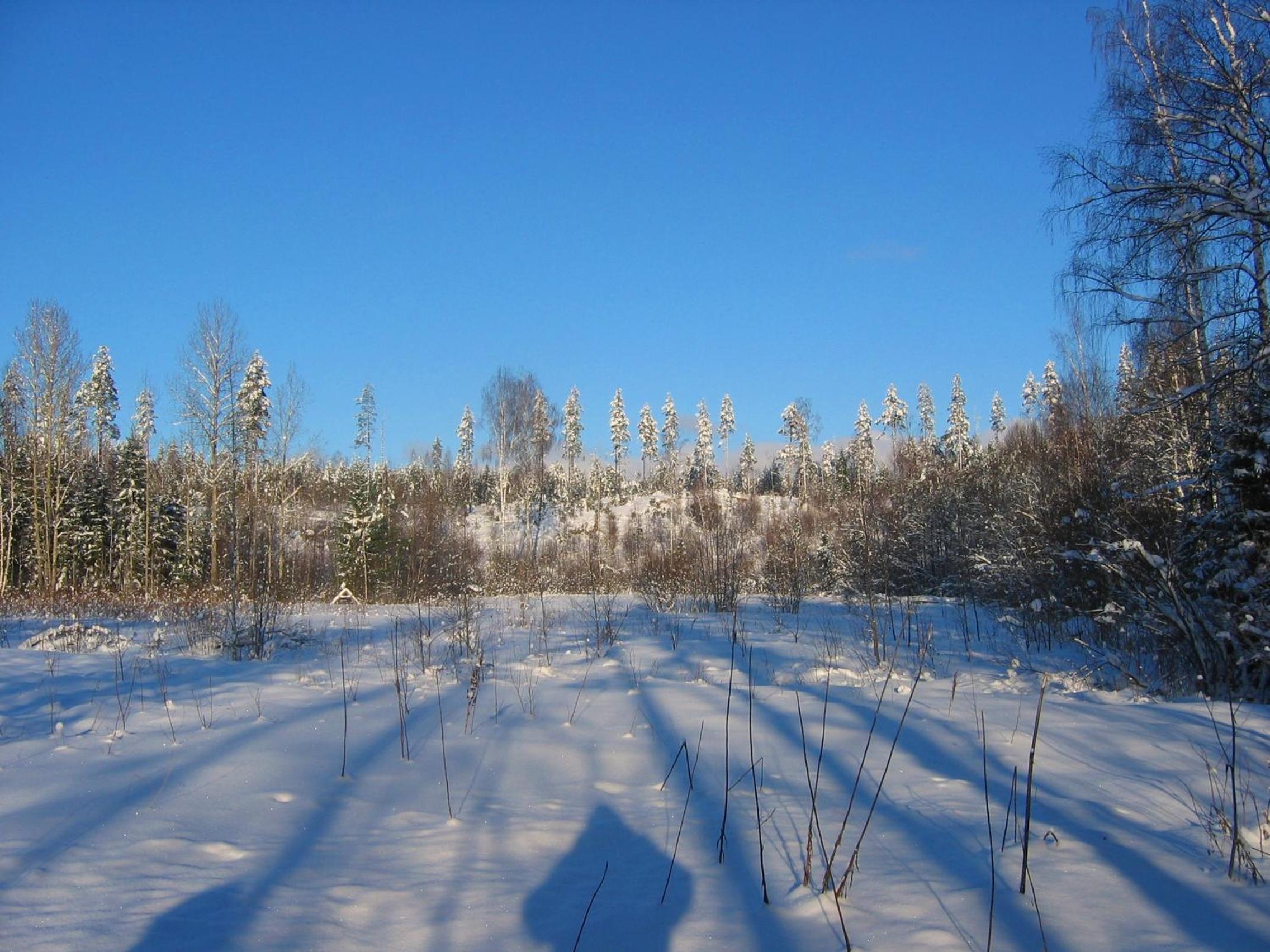 Photo 45