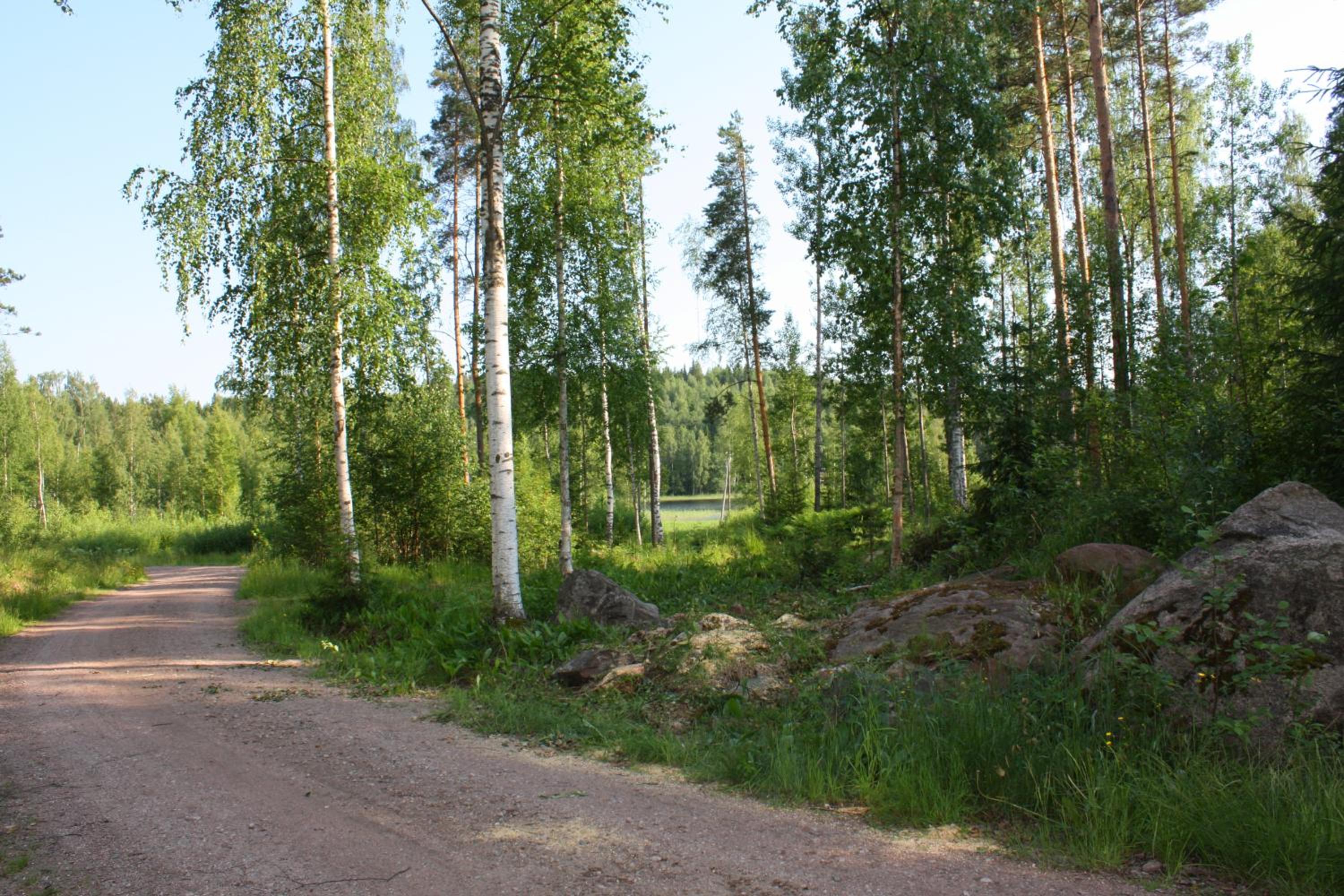 Photo 43