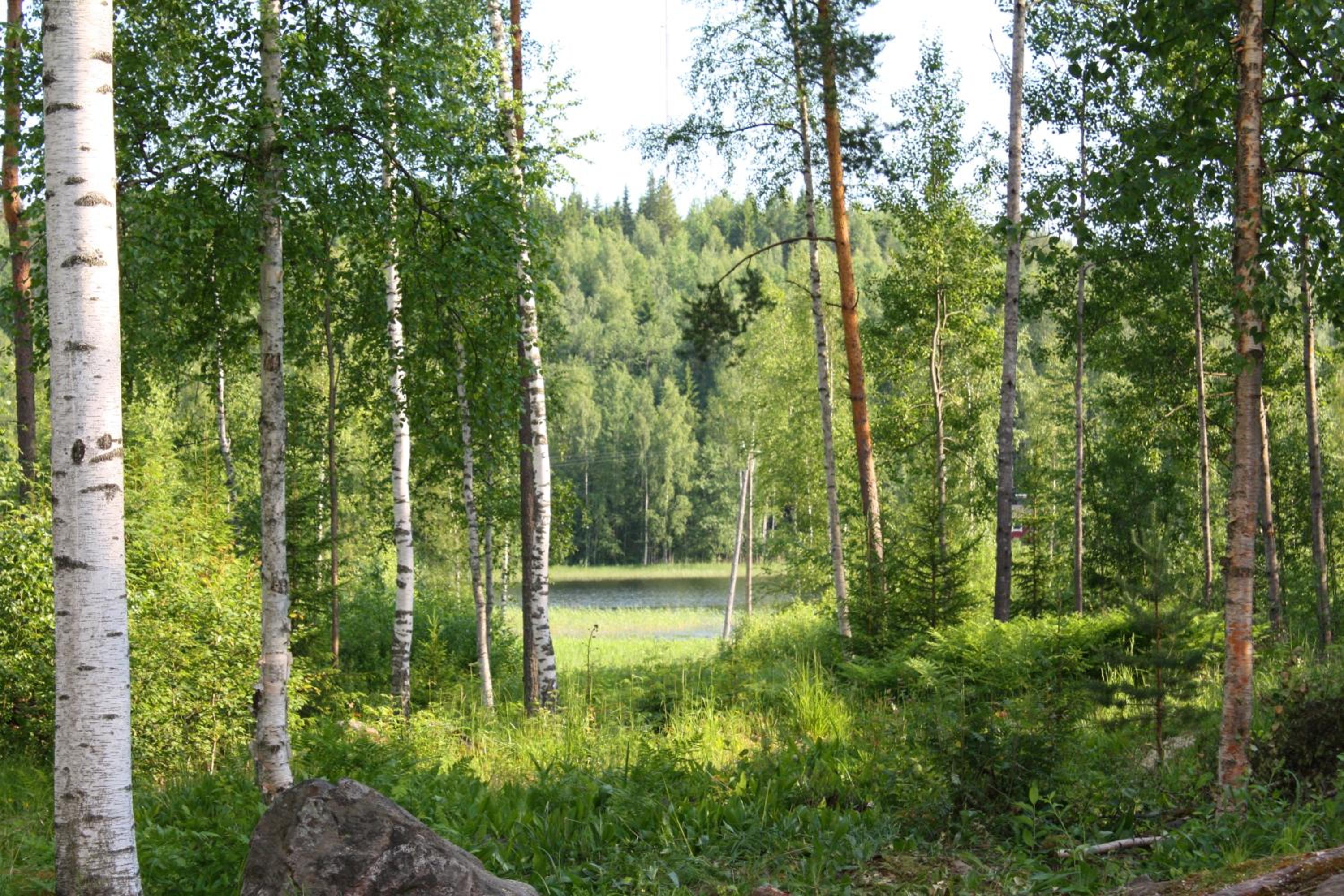 Photo 44