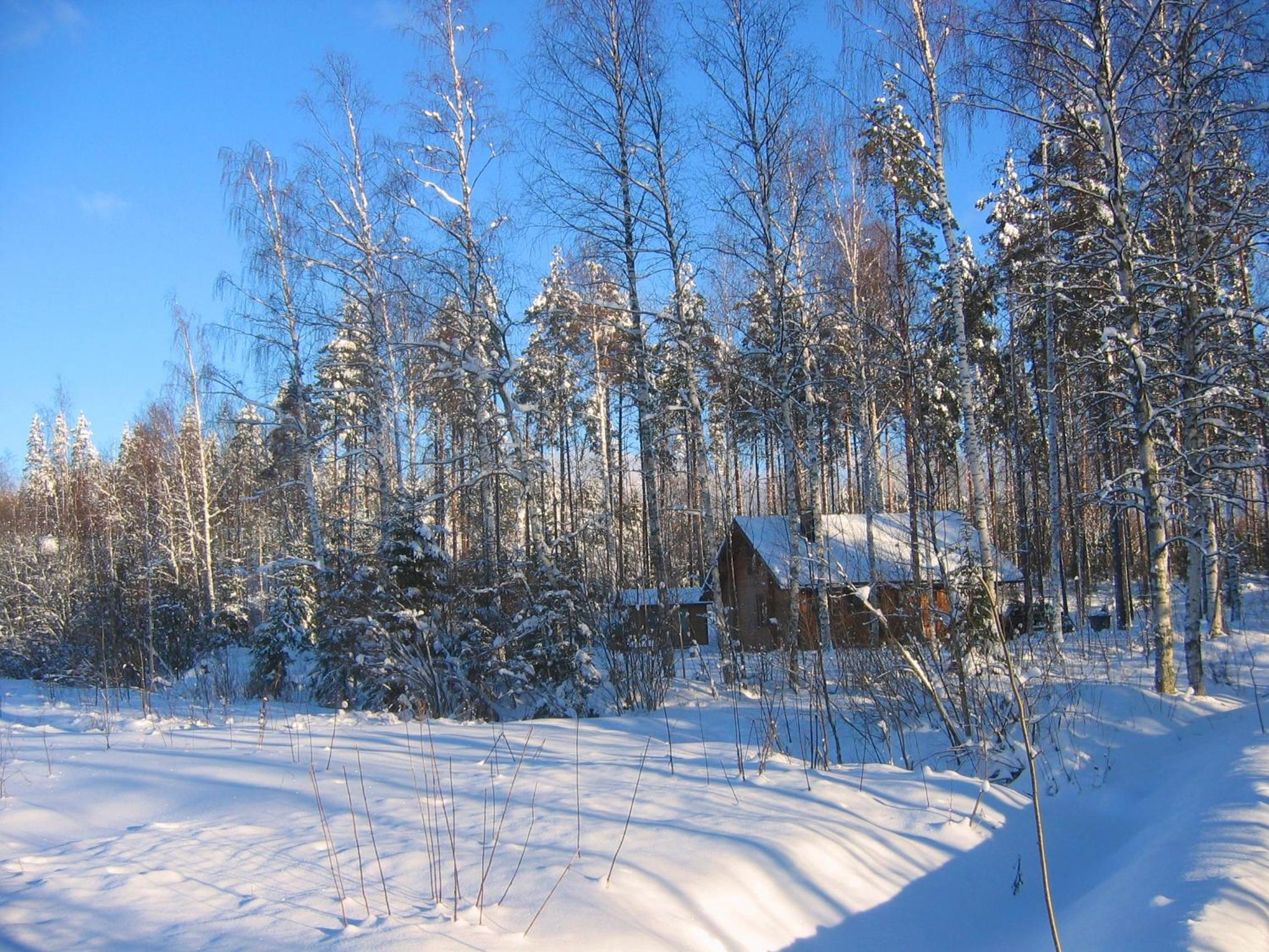 Photo 46