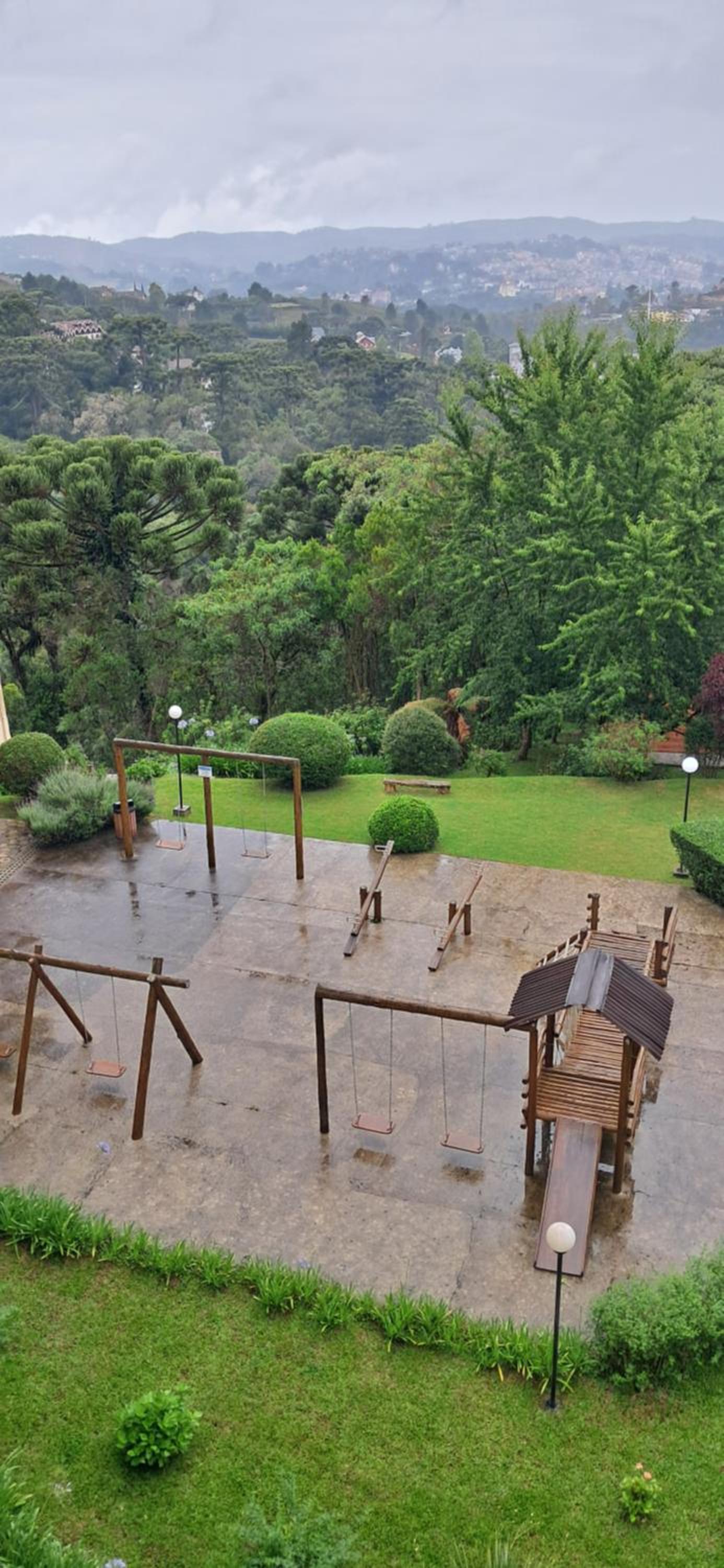 Canto araucarias