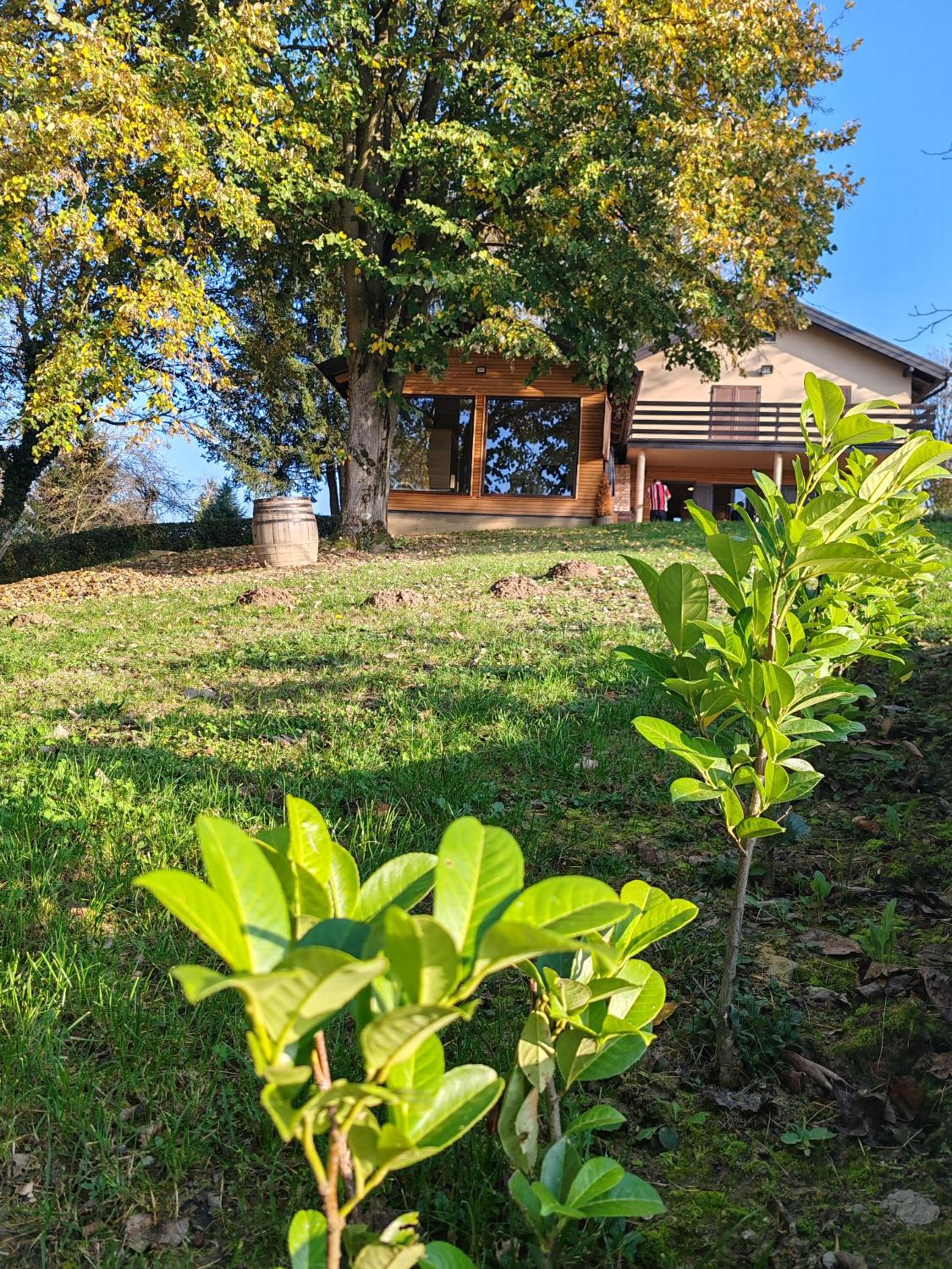 Holiday Home Vito