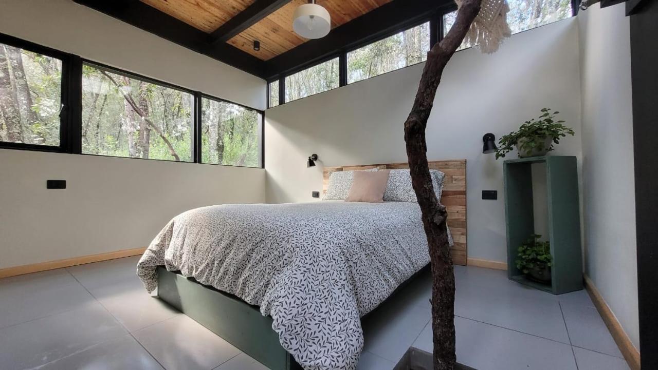 Cabaña Estudio UMMA Punta del Bosque view 2