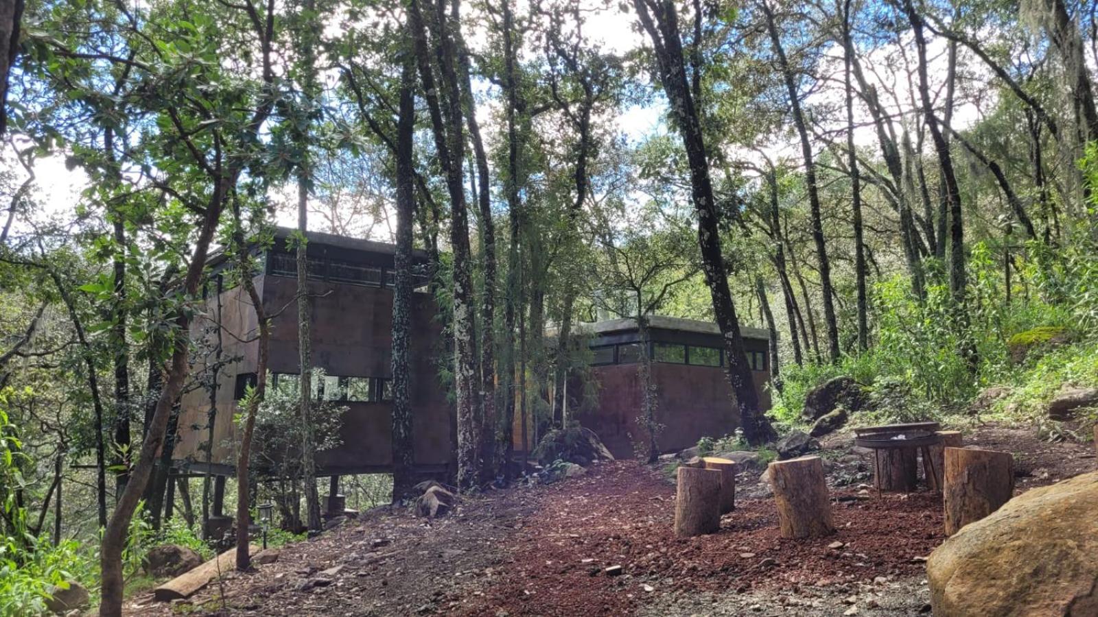 Cabaña Estudio UMMA Punta del Bosque view 4