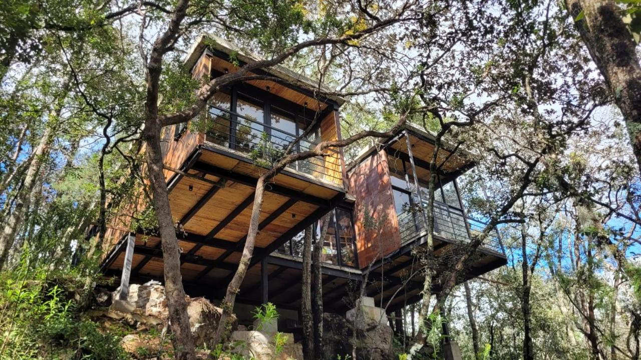 Cabaña Estudio UMMA Punta del Bosque view 5