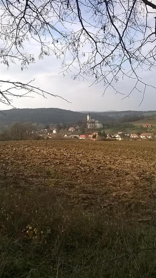 Photo 56