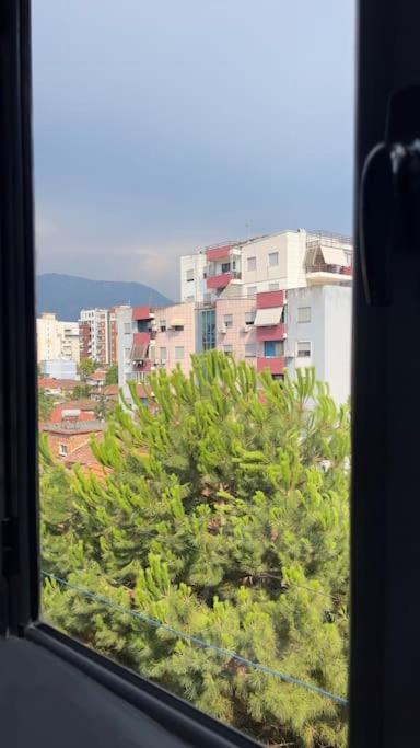 Bee Apartment 3-City Center Retreat