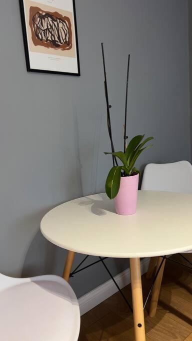 Bee Apartment 3-City Center Retreat