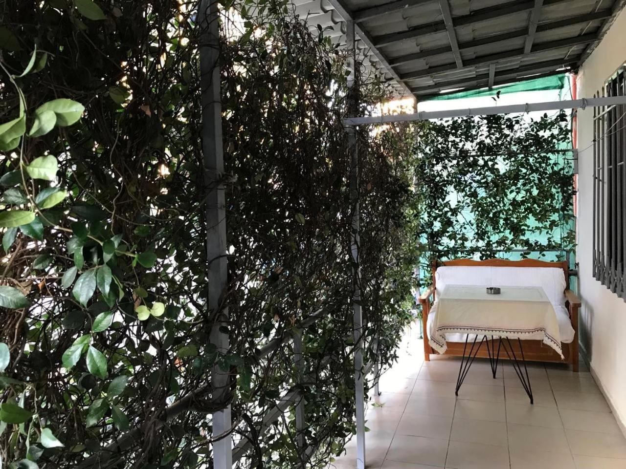 Blossom Balcony Apartment
