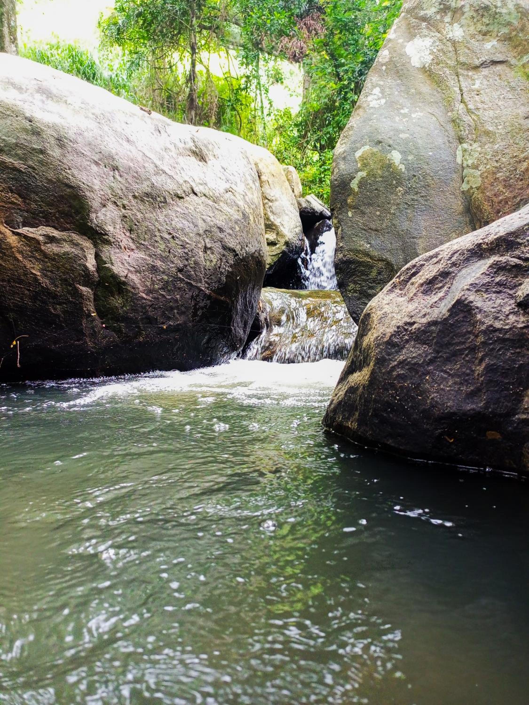 Creek Downhills