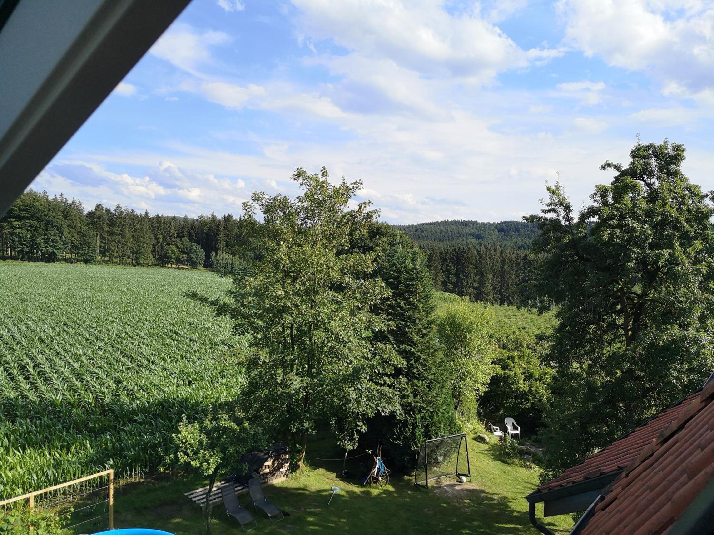 Grüne Oase im Teutoburger Wald