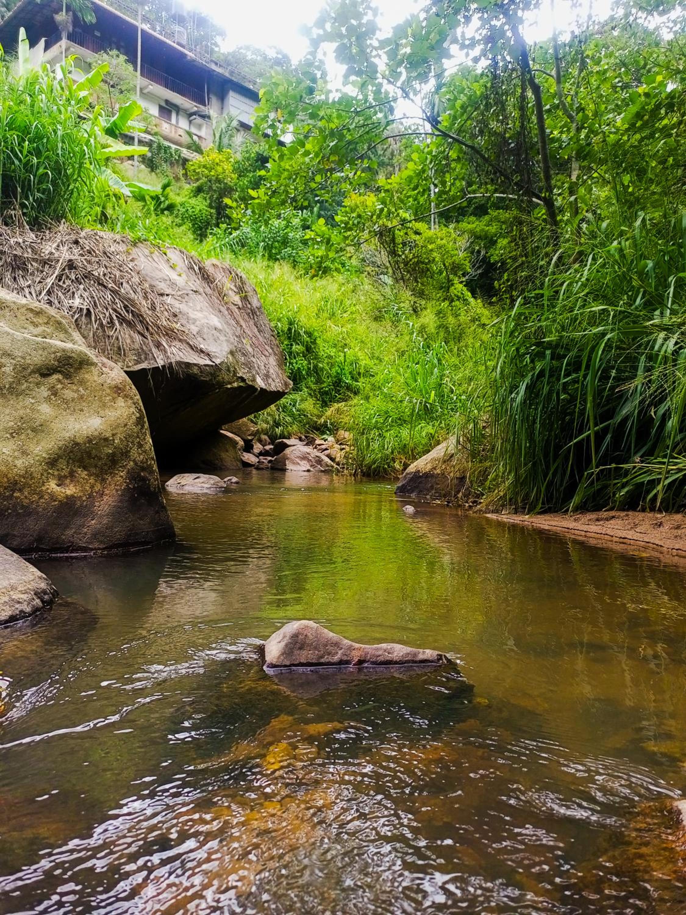 Creek Downhills