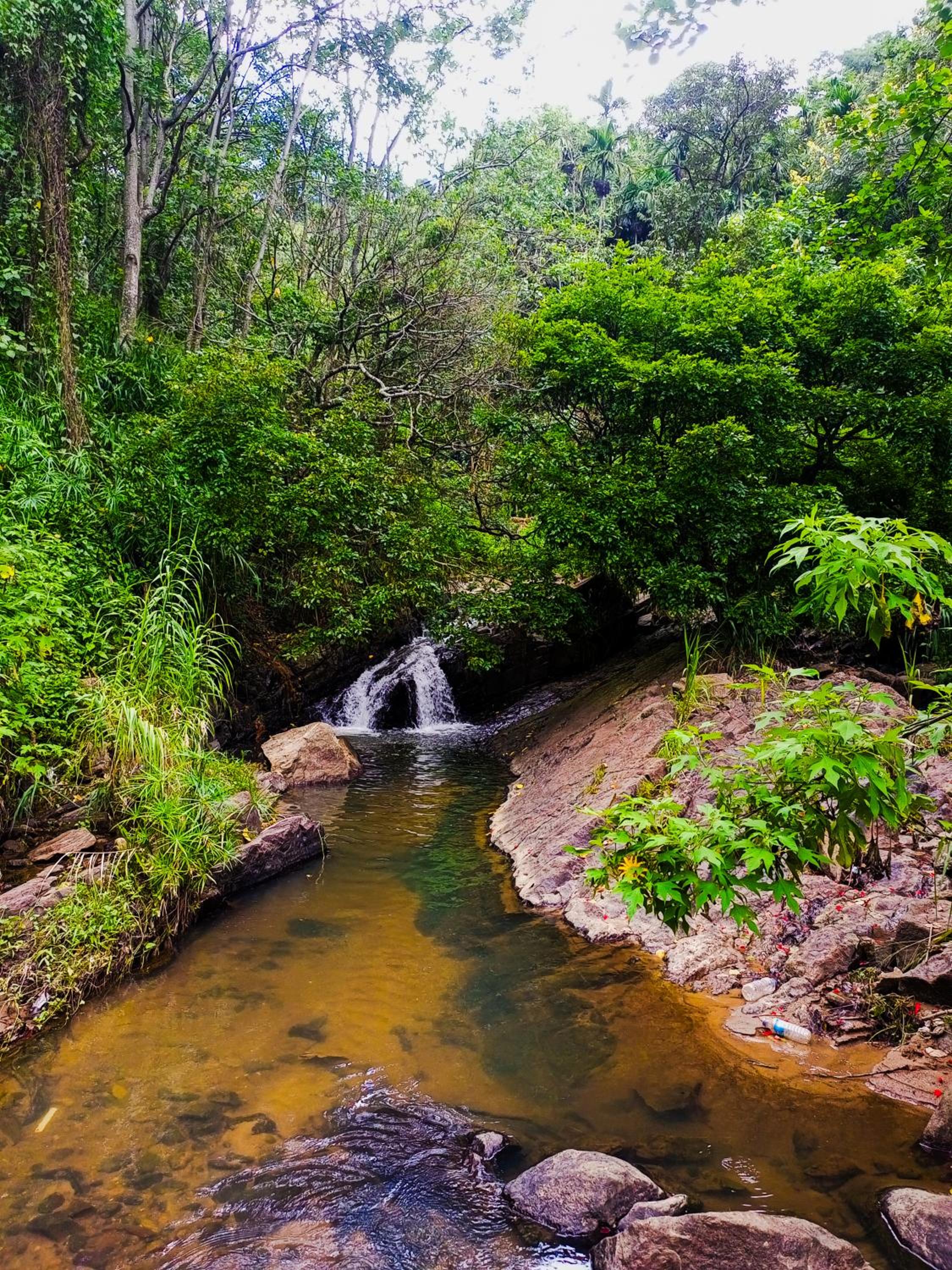 Creek Downhills
