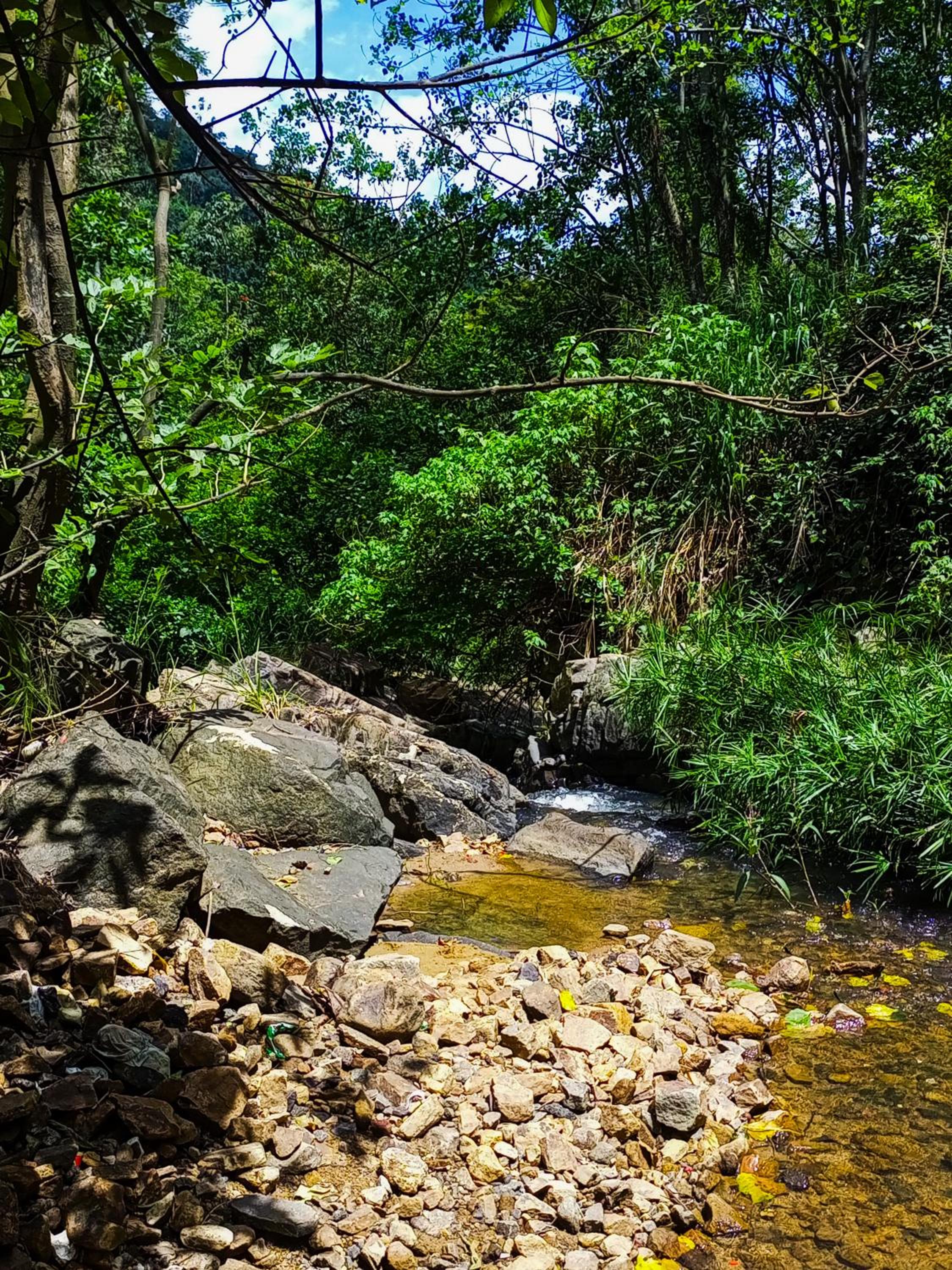 Creek Downhills