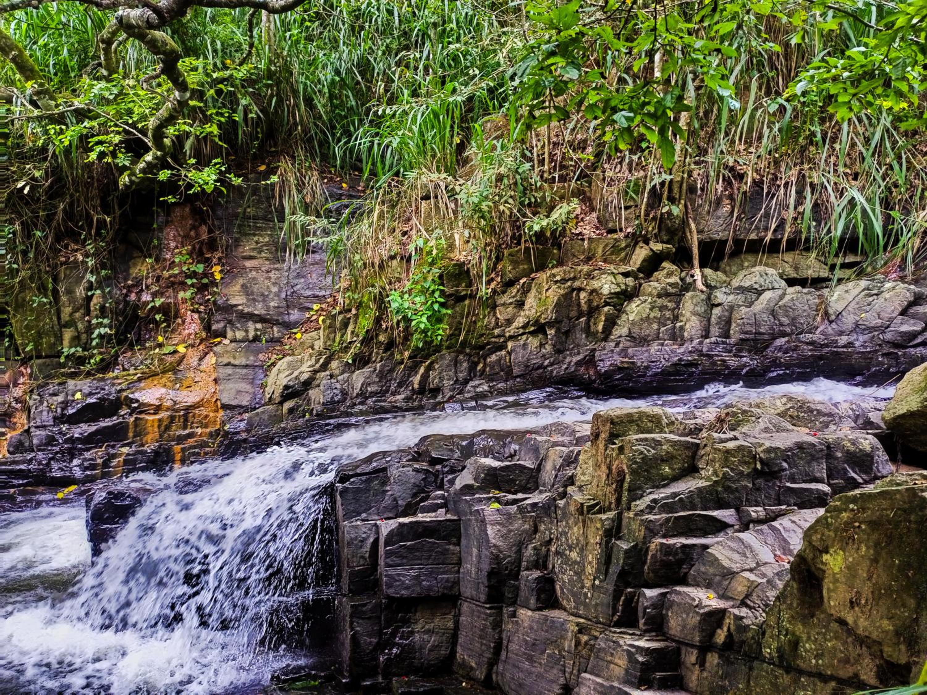Creek Downhills