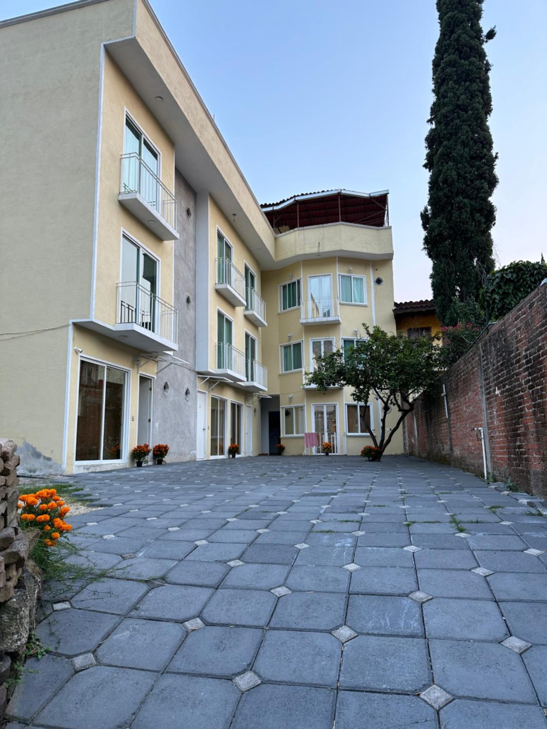 Photo 8