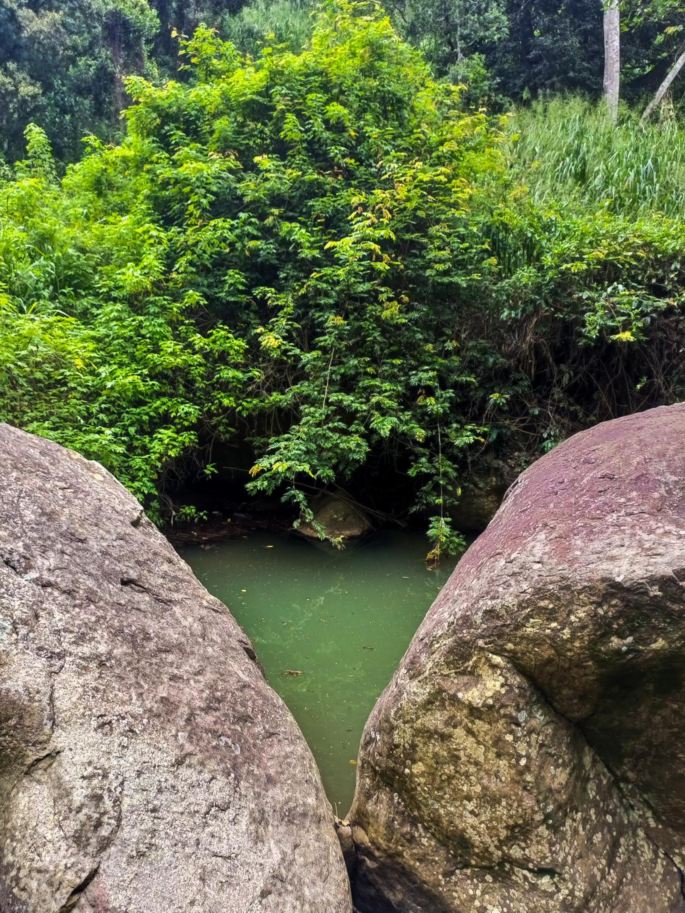 Creek Downhills