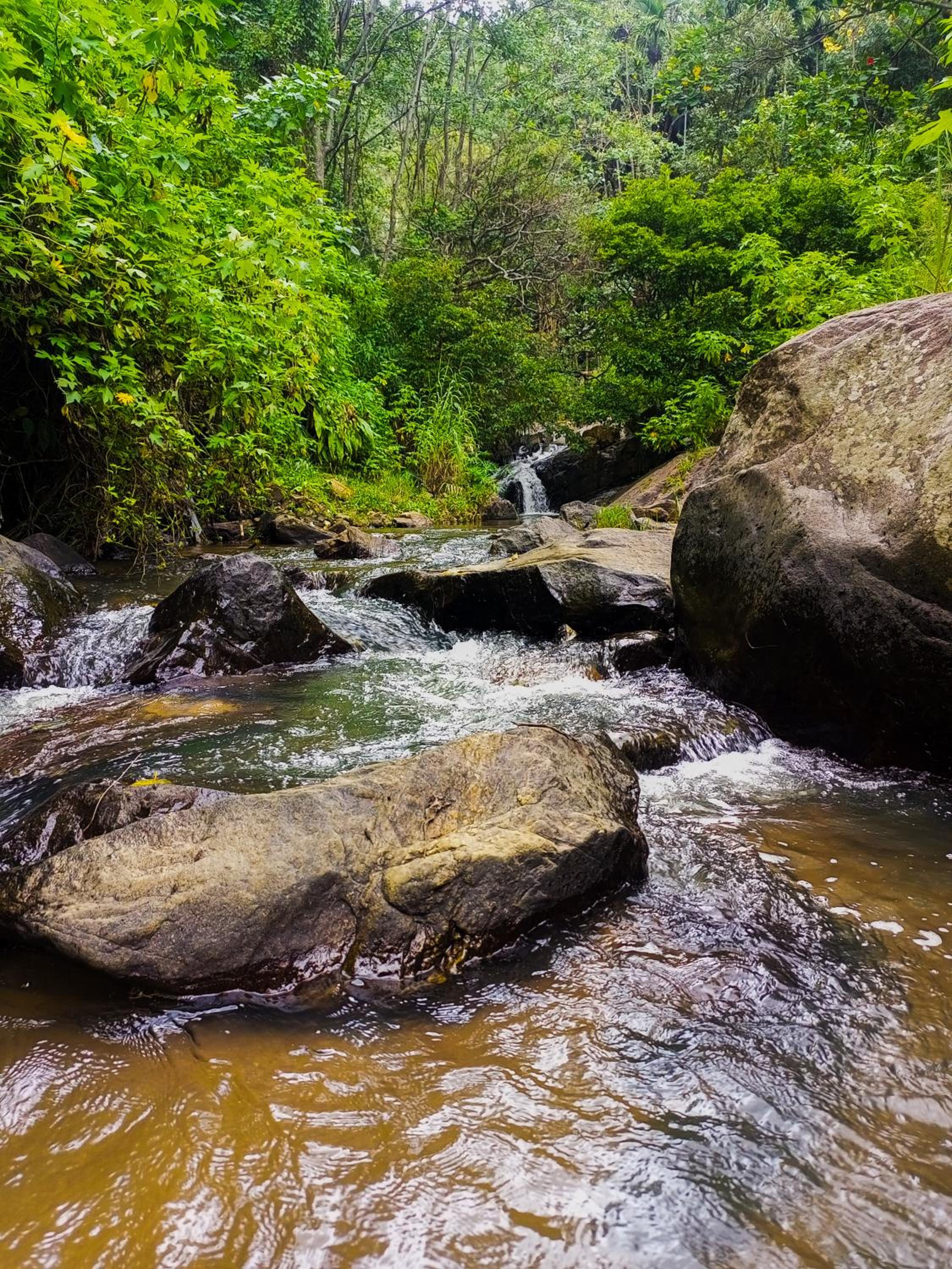 Creek Downhills