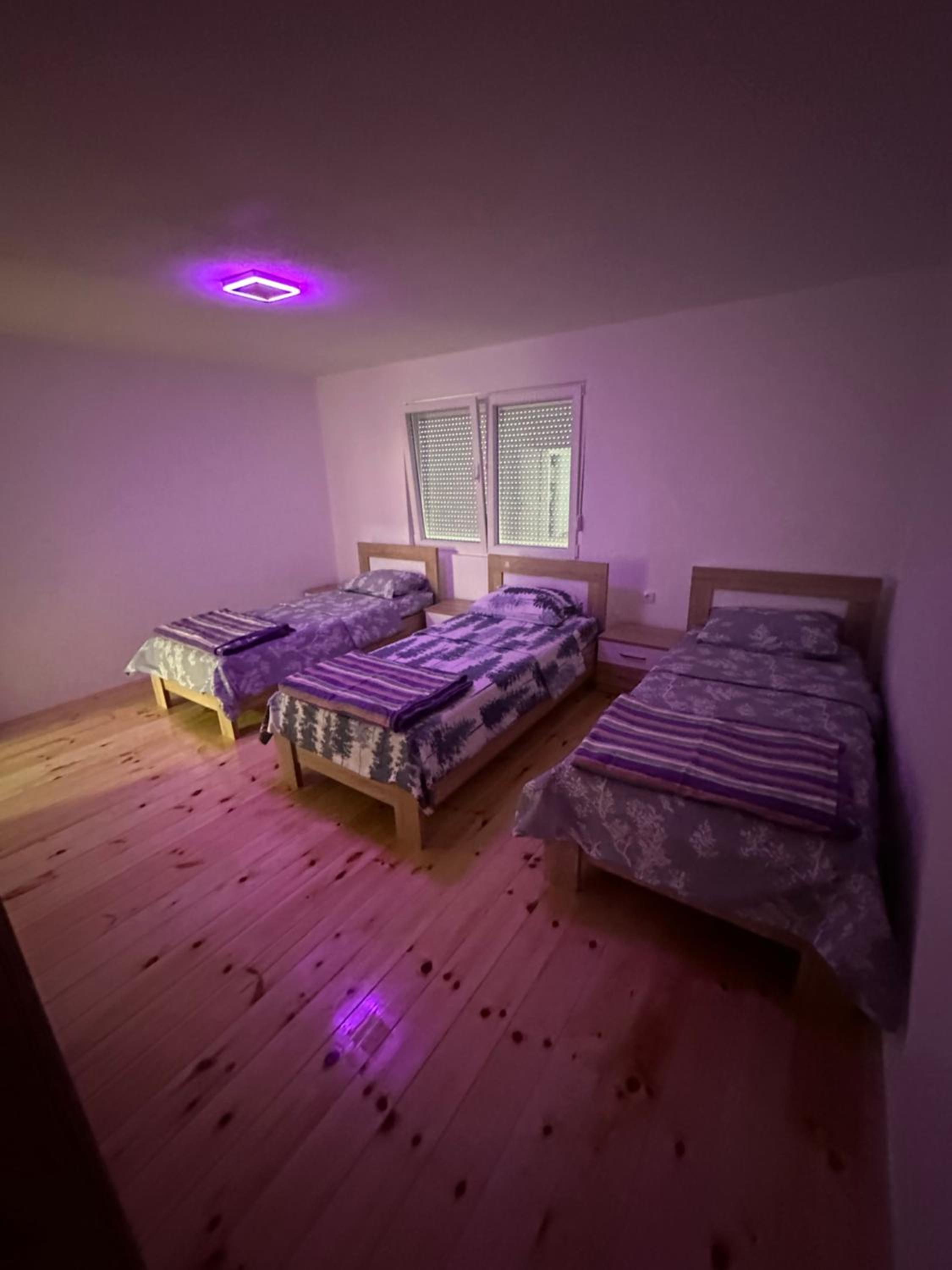 Apartman Ogi photo 4