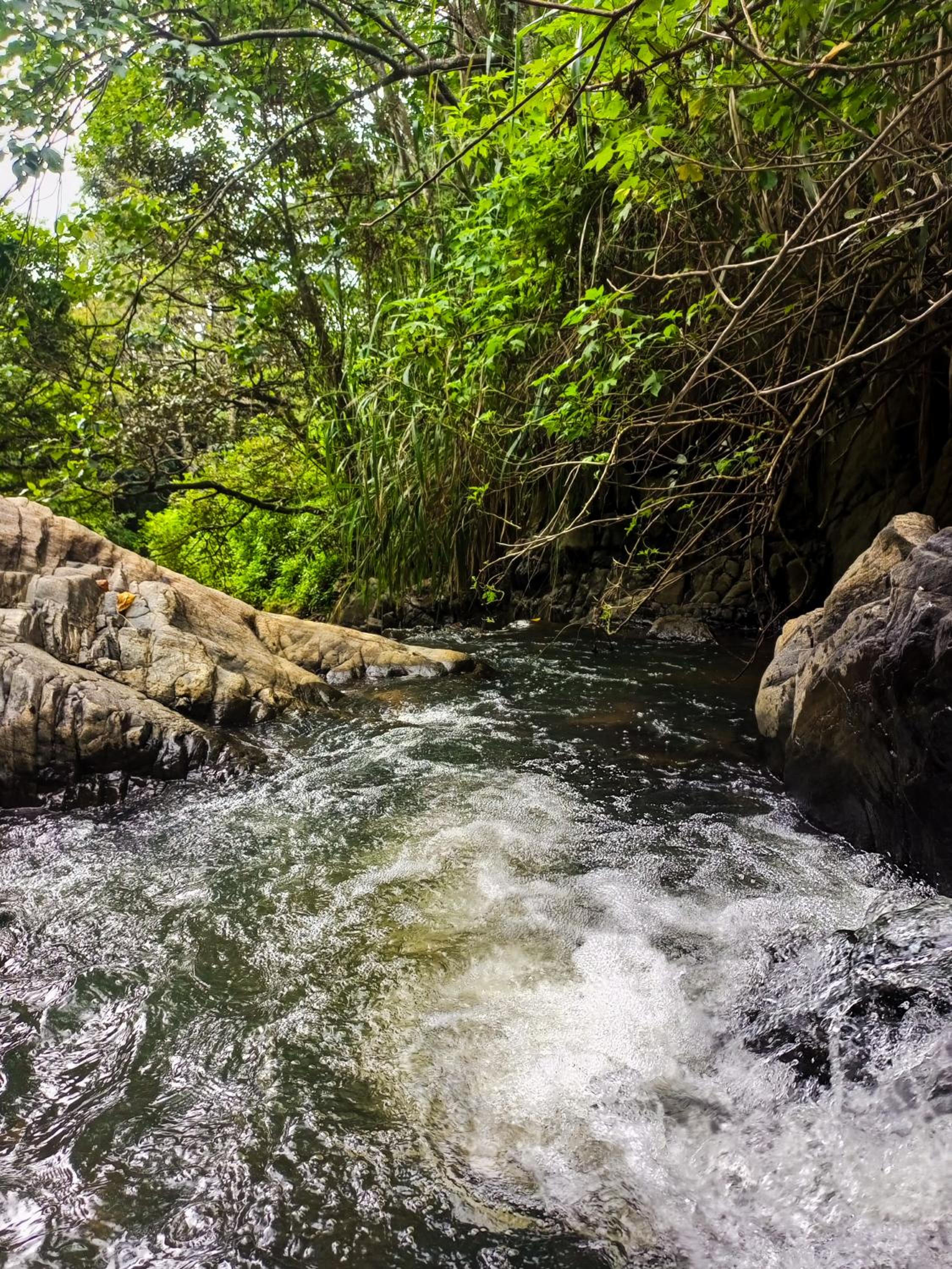 Creek Downhills