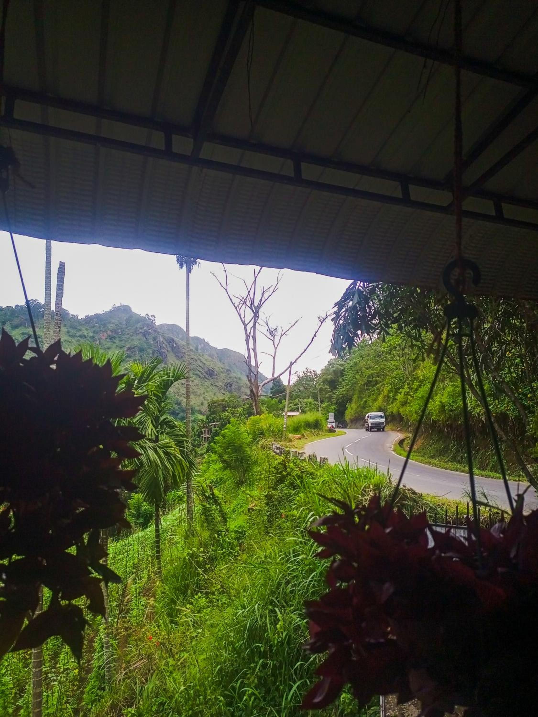 Creek Downhills
