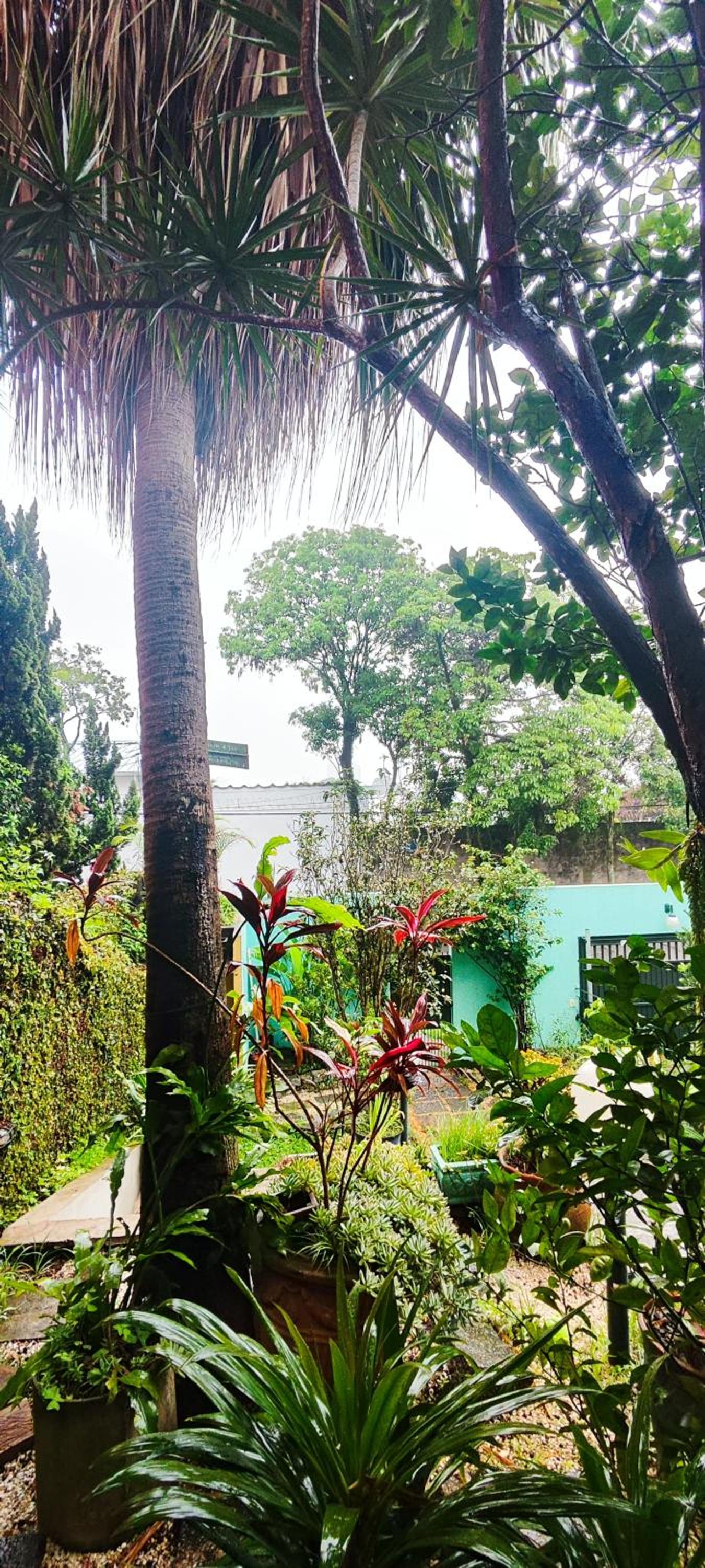 A Casa da Itália