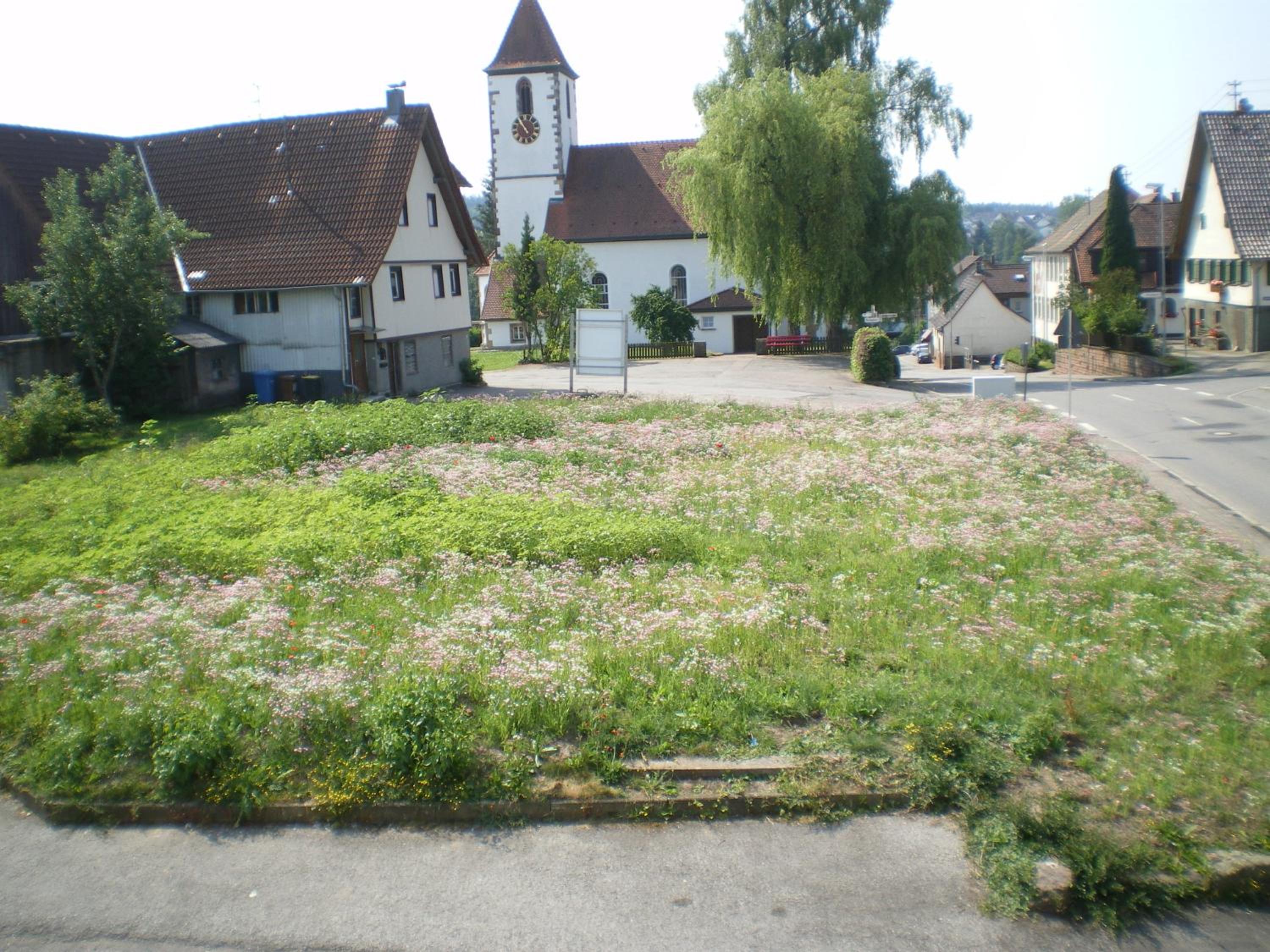 Gasthaus Pflug