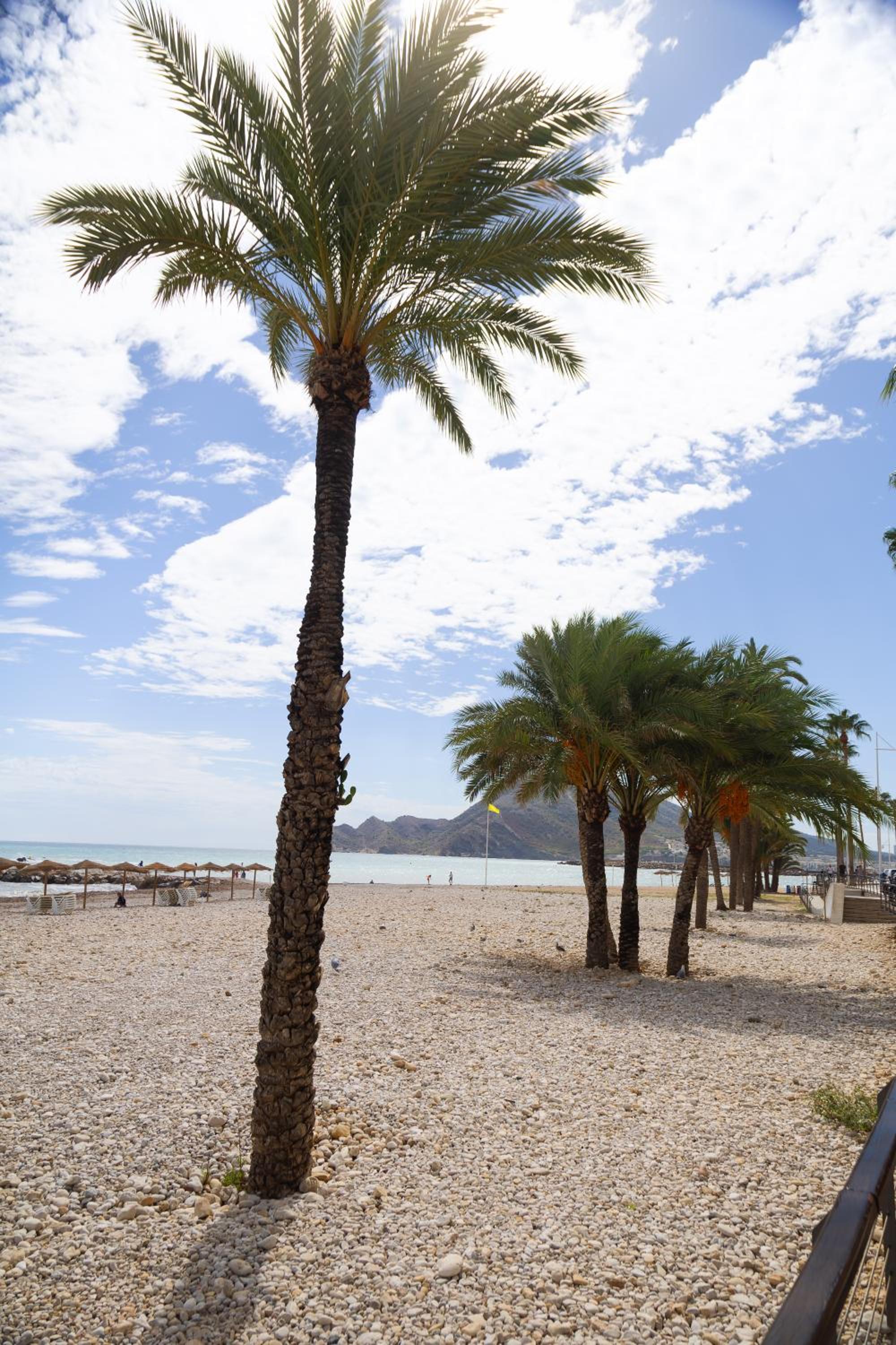 El Toro Apartments photo 4