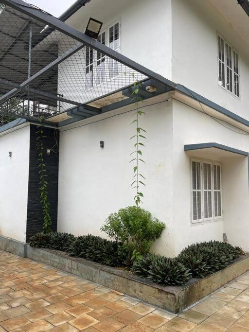 Exuberance Villa