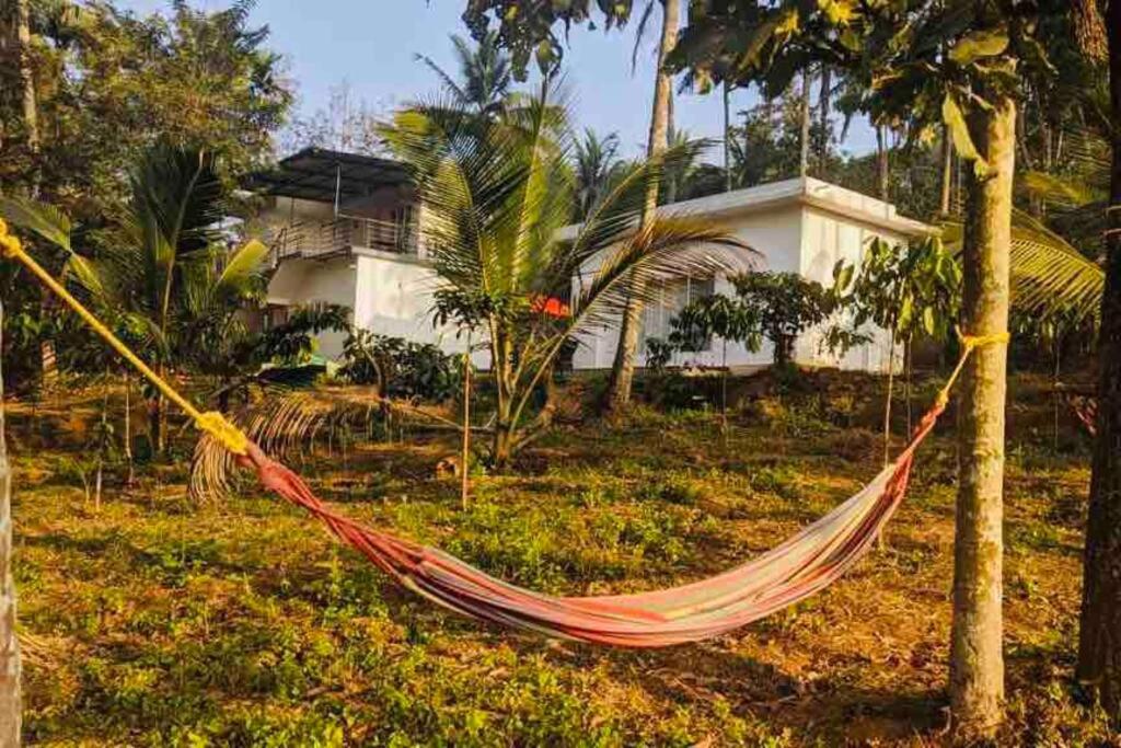 Exuberance Villa