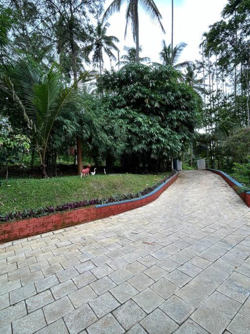 Exuberance Villa