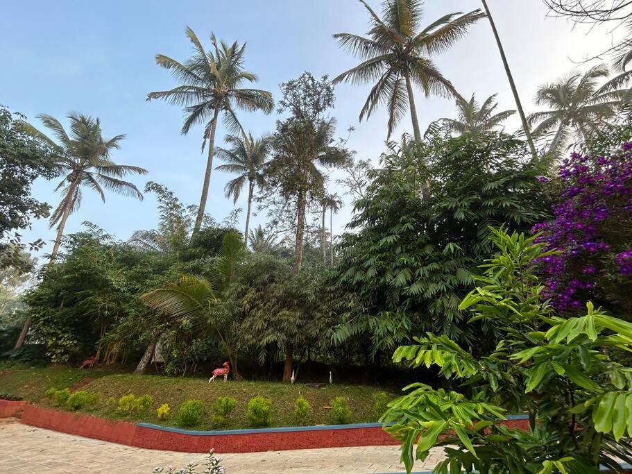 Exuberance Villa