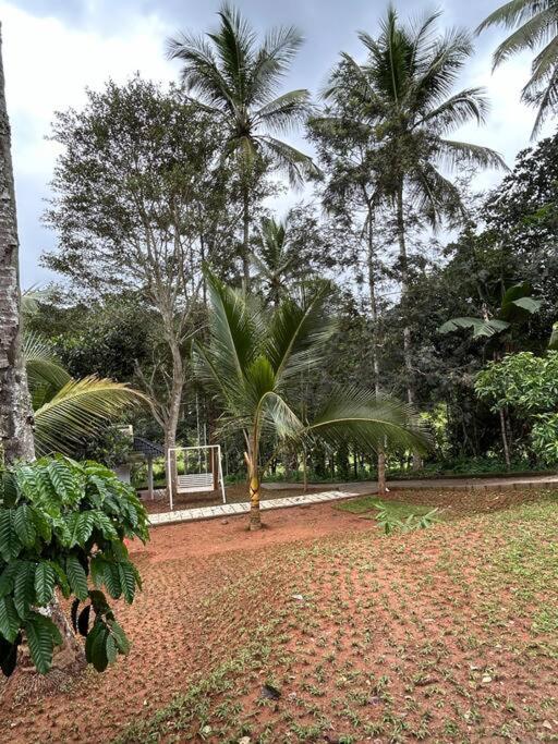 Exuberance Villa